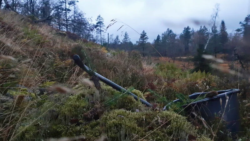 Før treslagskifte. Dette arealet har omtrent samme bonitet som granfeltet på bildet over. Etter rydding av krattskog til flisproduksjon, planting og ungskogpleie, kan skogeier i løpet av 5-10 år ha etablert en skog som binder større mengder CO2 og også har større økonomisk verdi. Foto: Arne Eiken, AT-skog 