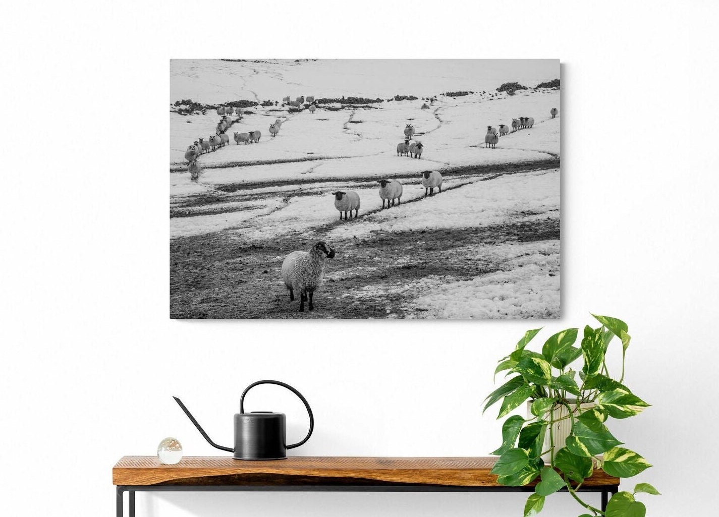 https://i.etsystatic.com/32015401/r/il/726ba6/3741044414/il_fullxfull.3741044414_d02r.jpg