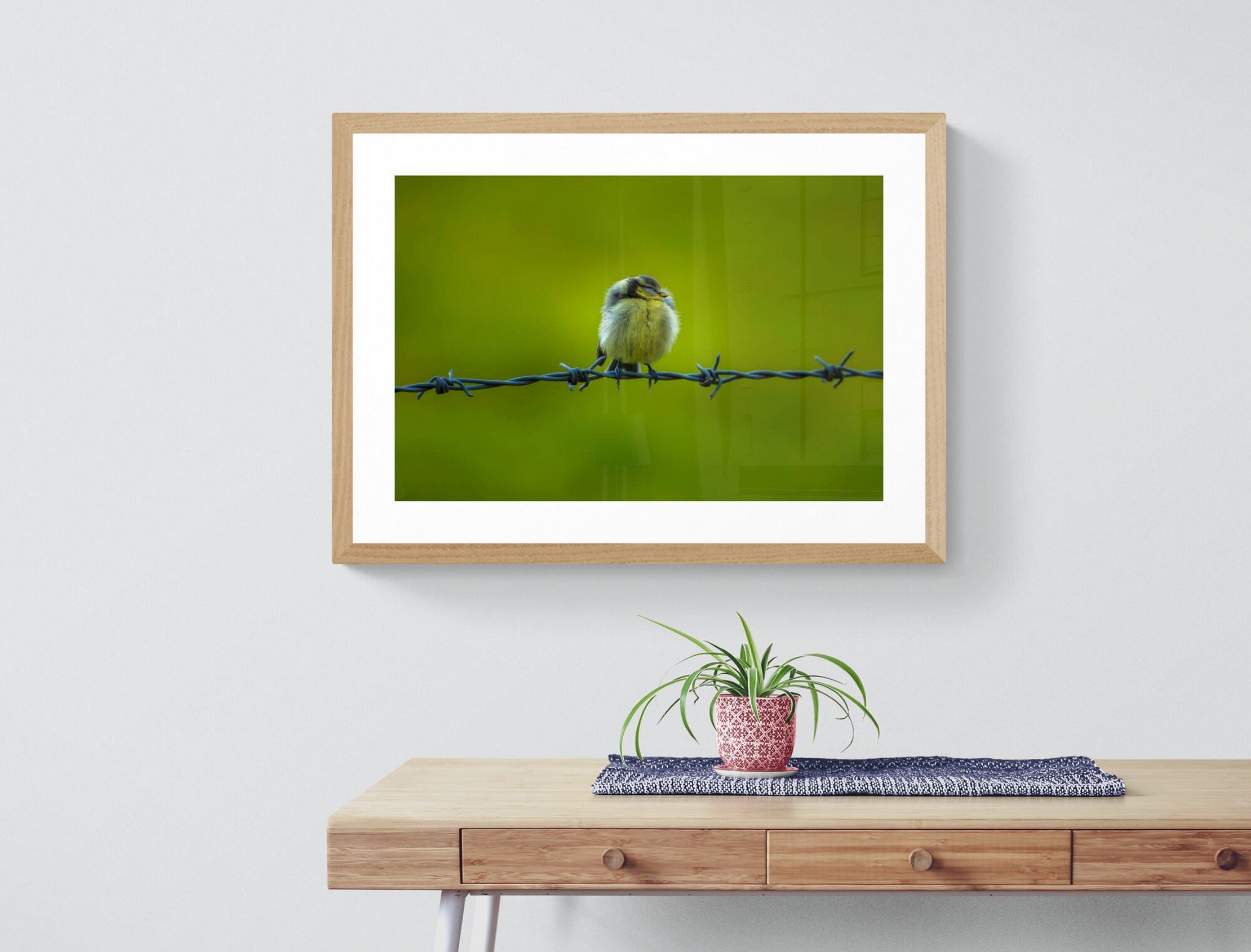 https://i.etsystatic.com/32015401/r/il/c91078/3633341903/il_fullxfull.3633341903_927i.jpg