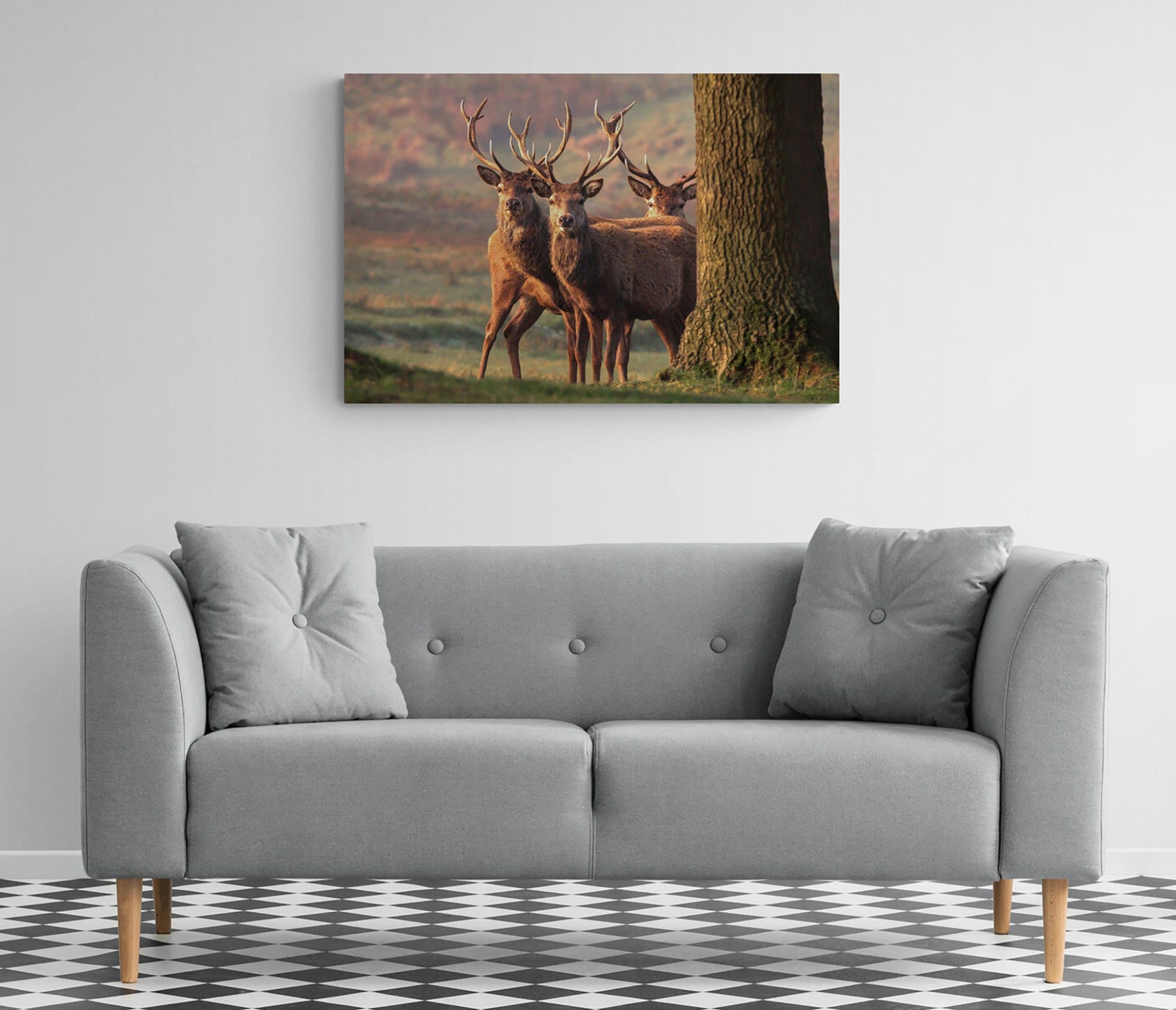 https://i.etsystatic.com/32015401/r/il/0cc9a2/3633332935/il_fullxfull.3633332935_sq1d.jpg