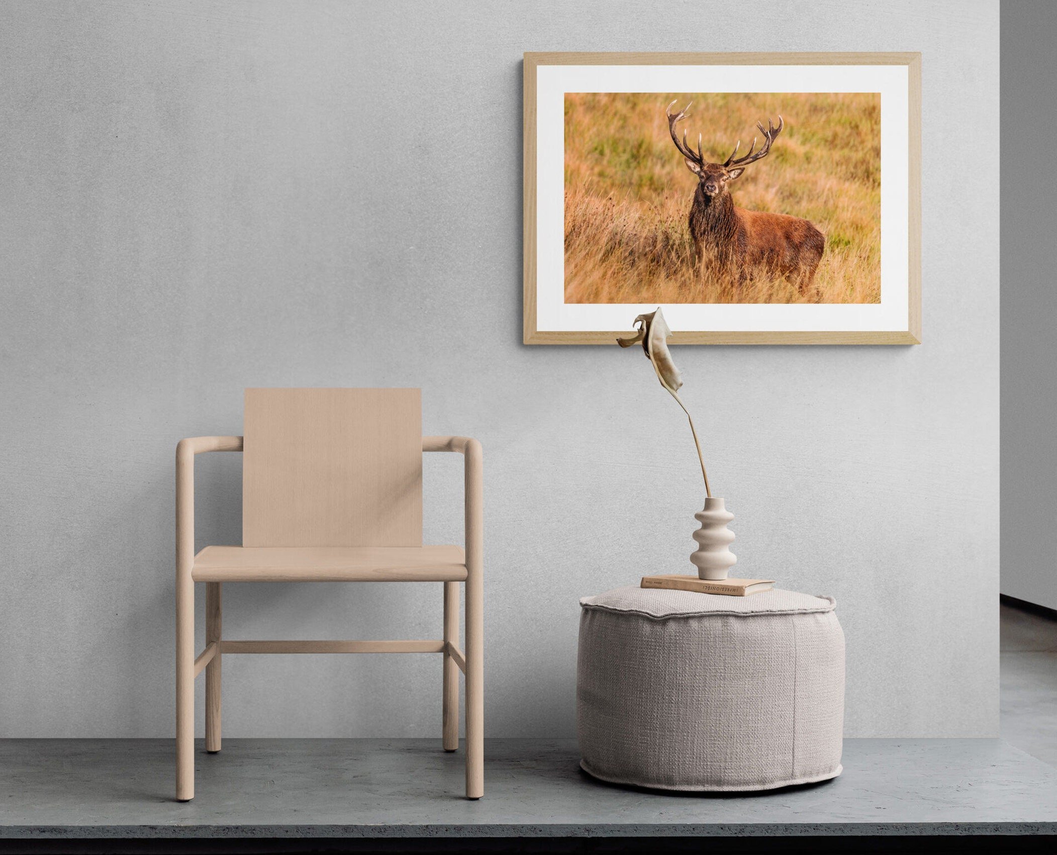 https://i.etsystatic.com/32015401/r/il/9d9915/3633307289/il_fullxfull.3633307289_rp2j.jpg