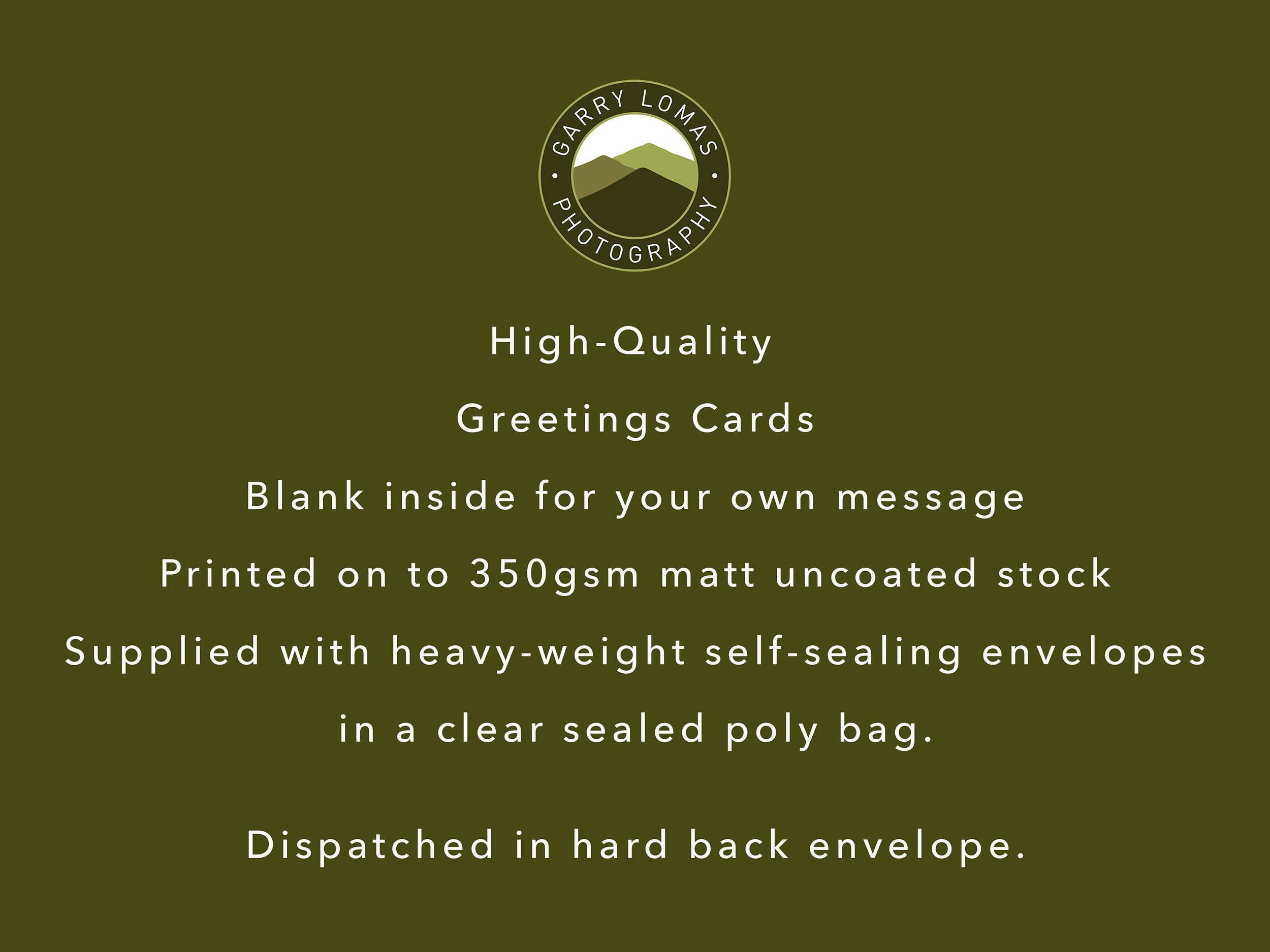 https://i.etsystatic.com/32015401/r/il/f8b82c/3539498217/il_fullxfull.3539498217_69kh.jpg