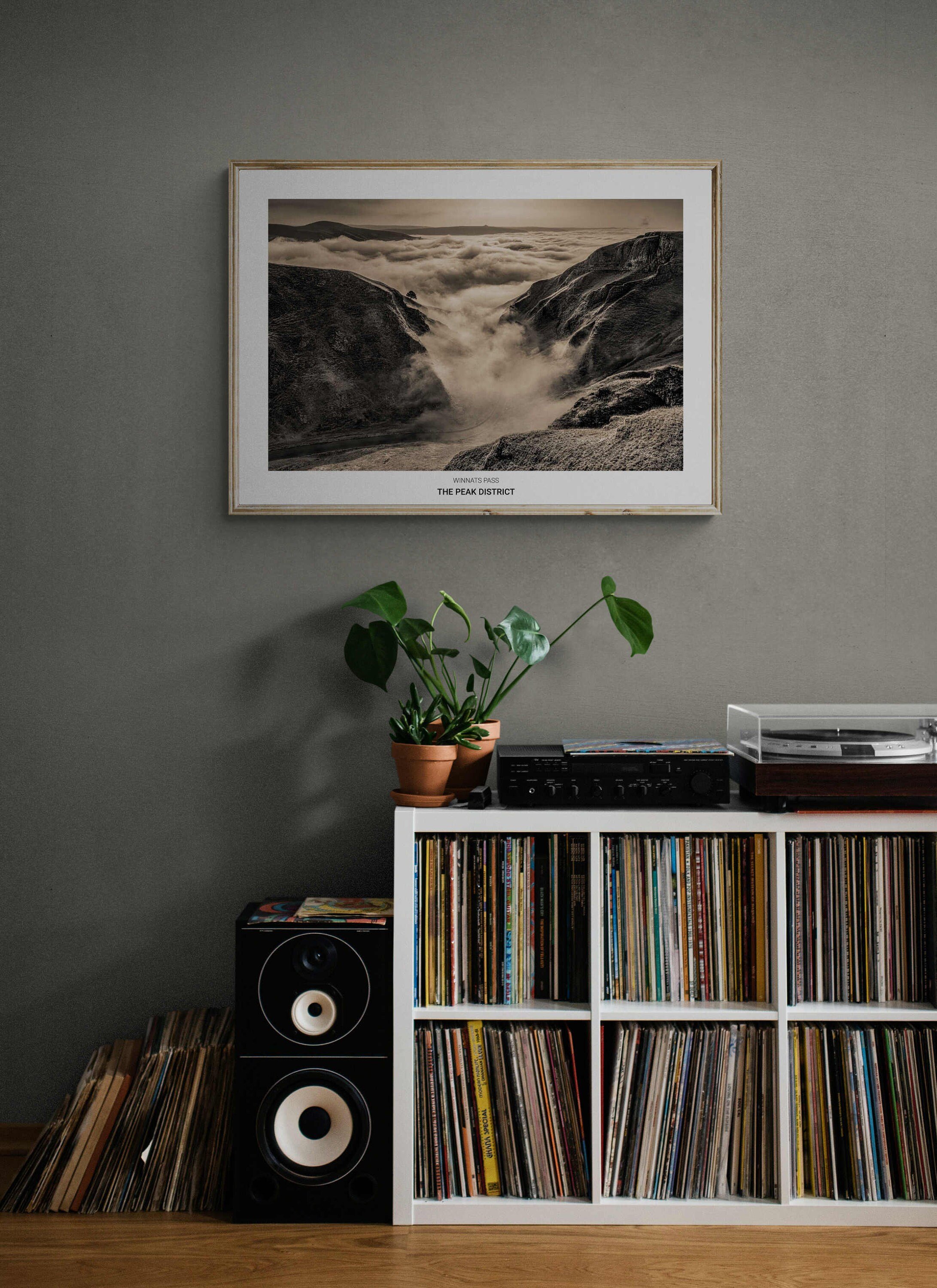 https://i.etsystatic.com/32015401/r/il/60b433/3783678874/il_fullxfull.3783678874_bejm.jpg