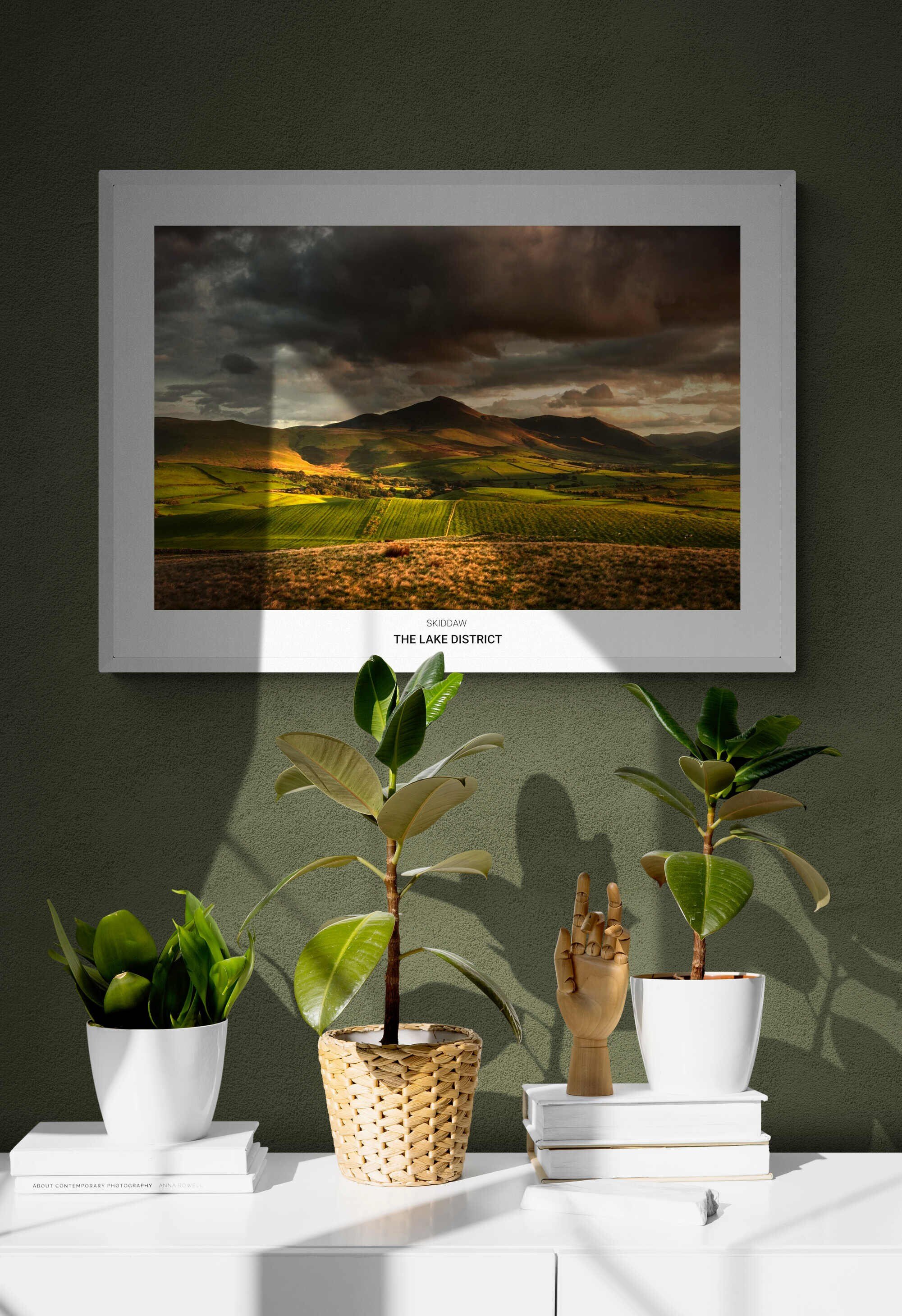 https://i.etsystatic.com/32015401/r/il/201cb2/3775091666/il_fullxfull.3775091666_kjku.jpg