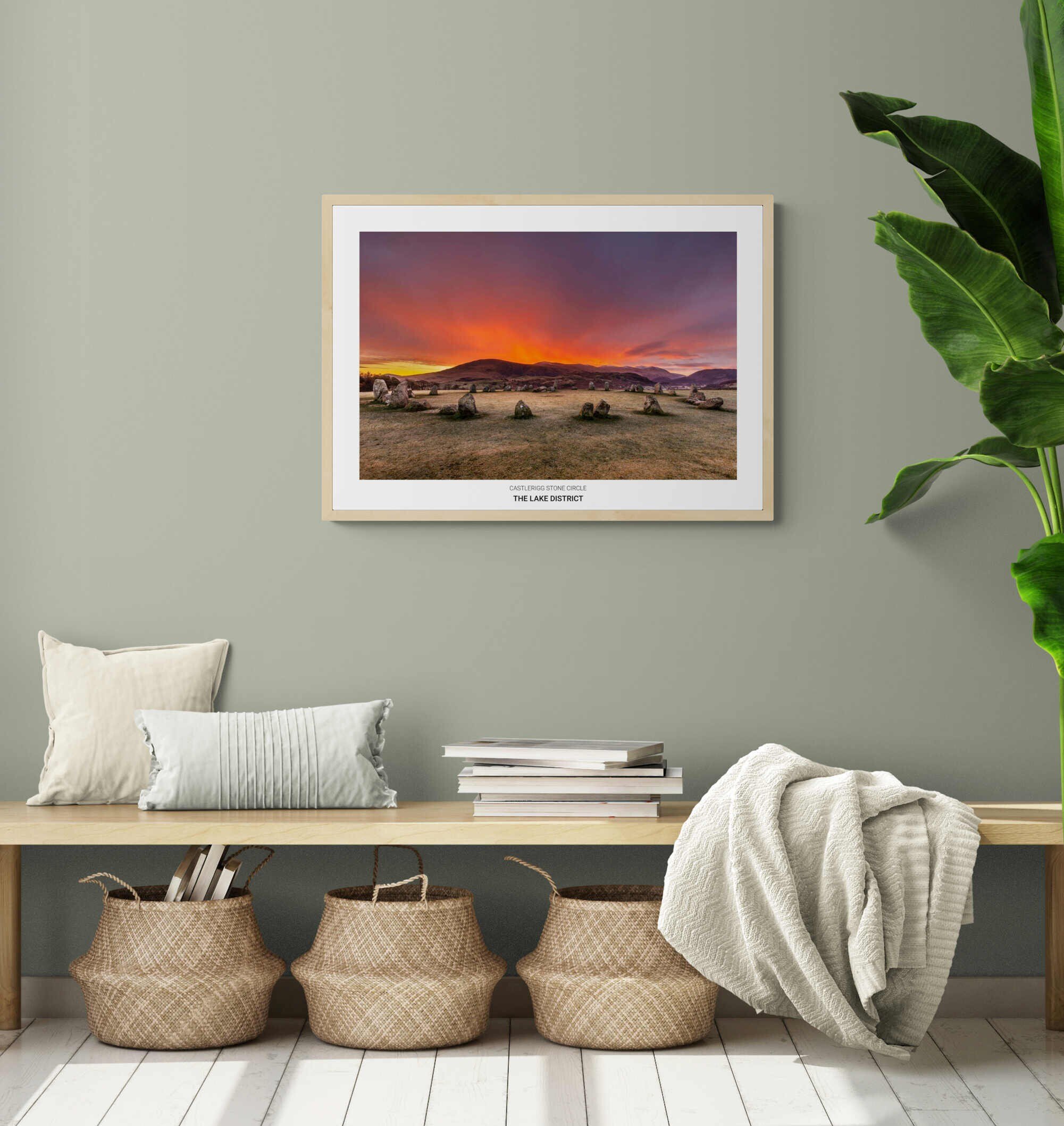 https://i.etsystatic.com/32015401/r/il/718b6b/3774505658/il_fullxfull.3774505658_c5f9.jpg