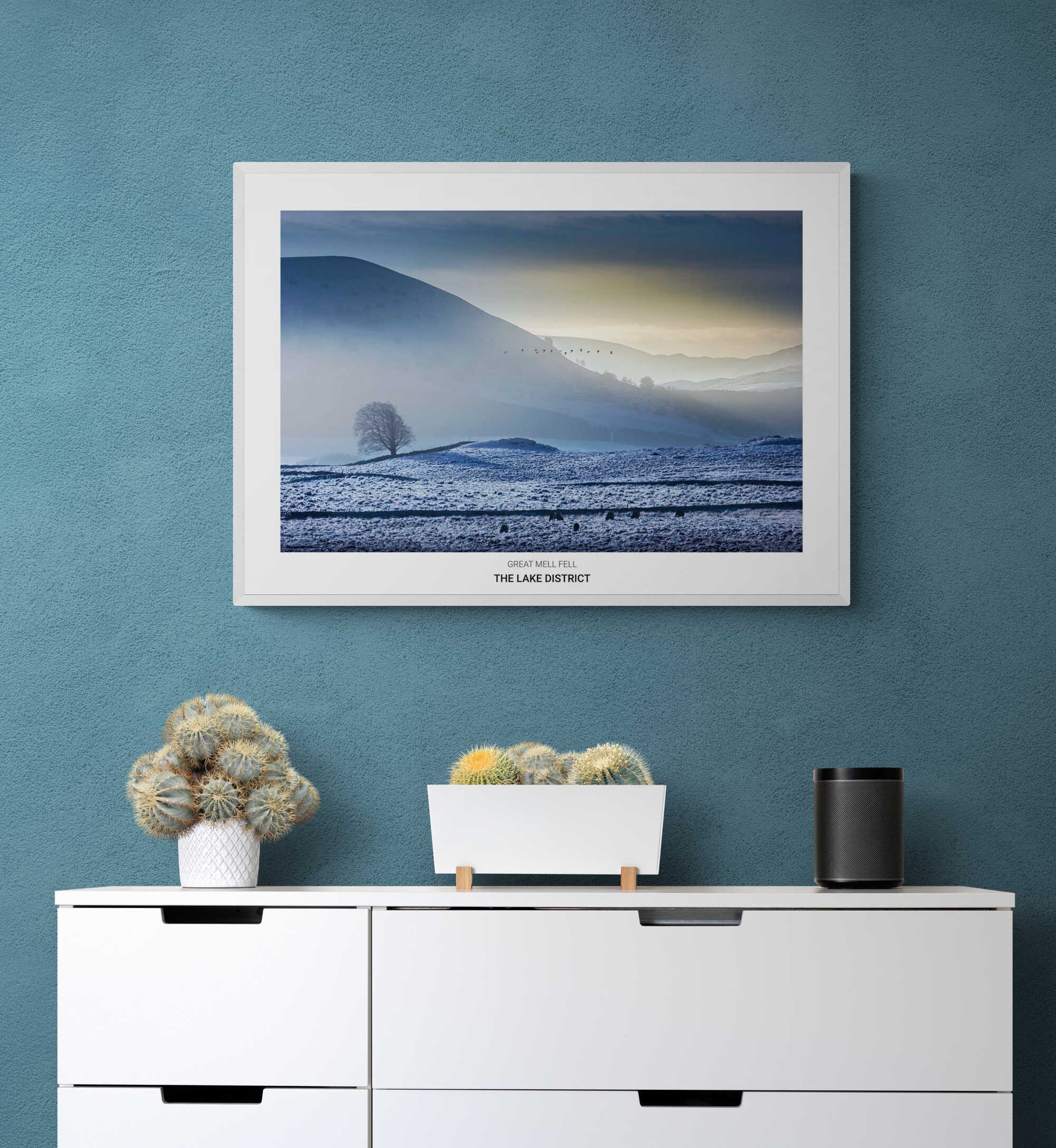 https://i.etsystatic.com/32015401/r/il/4dc259/4628747983/il_fullxfull.4628747983_fbqh.jpg