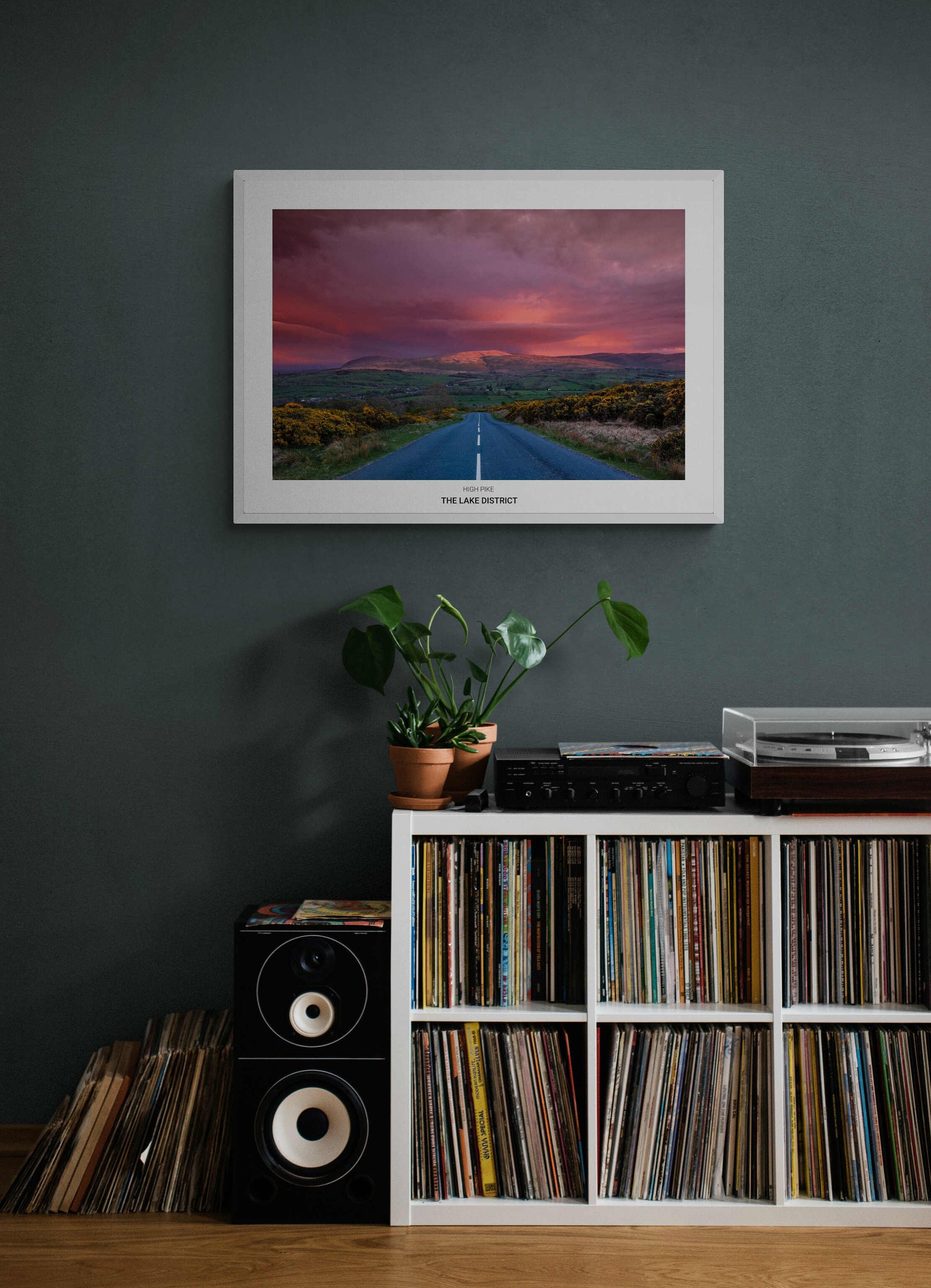 https://i.etsystatic.com/32015401/r/il/df4795/3774876354/il_fullxfull.3774876354_mi4d.jpg