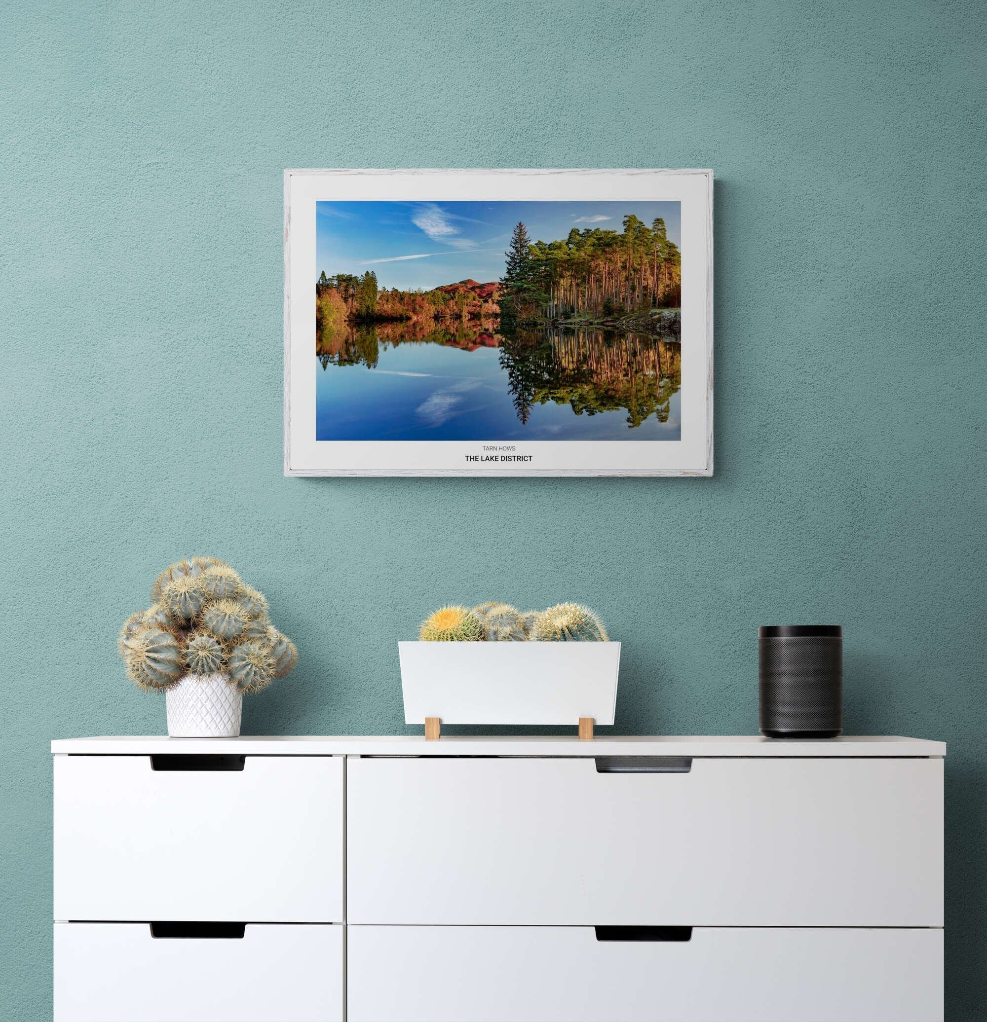 https://i.etsystatic.com/32015401/r/il/7d20fa/4418628859/il_fullxfull.4418628859_50sl.jpg
