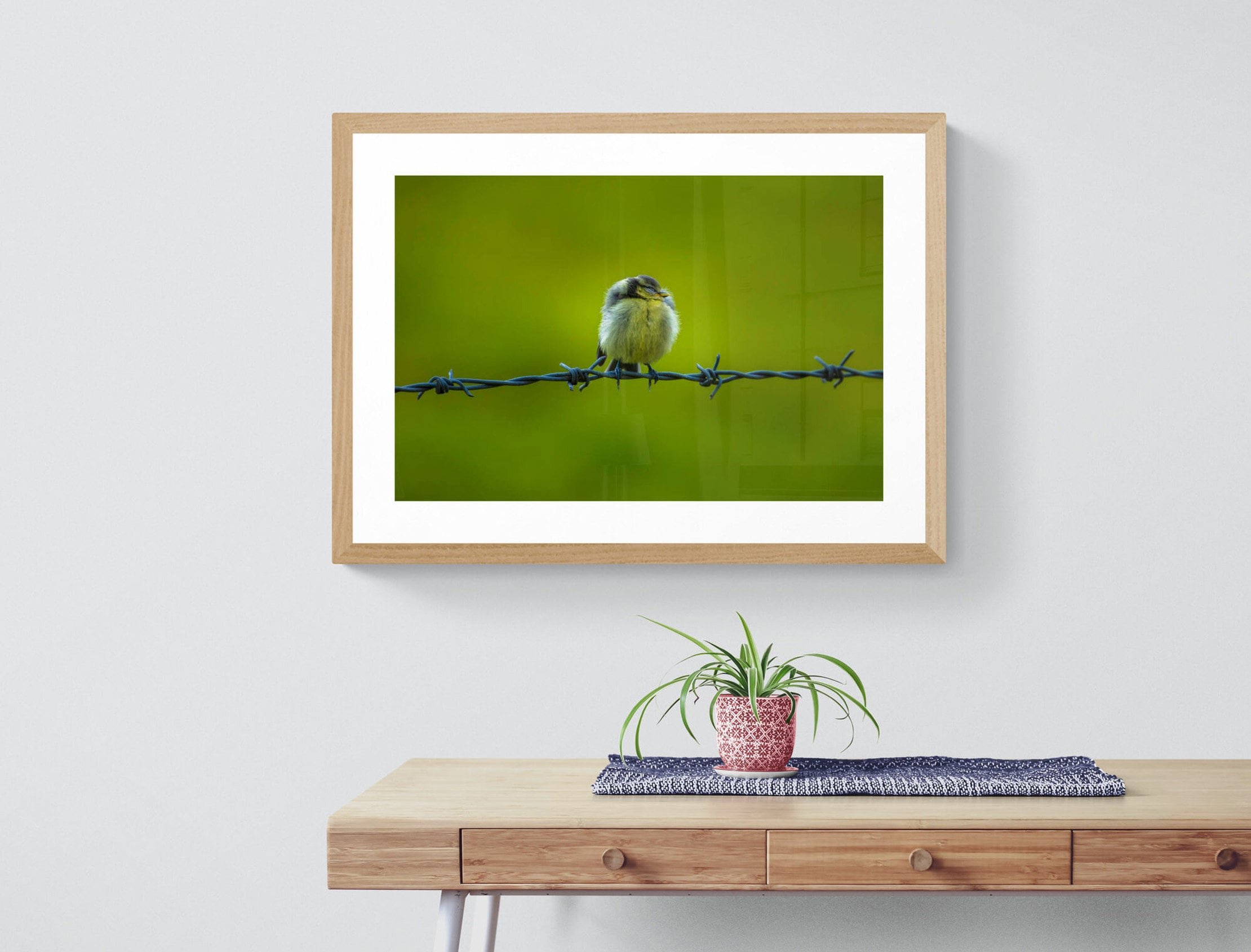 https://i.etsystatic.com/32015401/r/il/c91078/3633341903/il_fullxfull.3633341903_927i.jpg