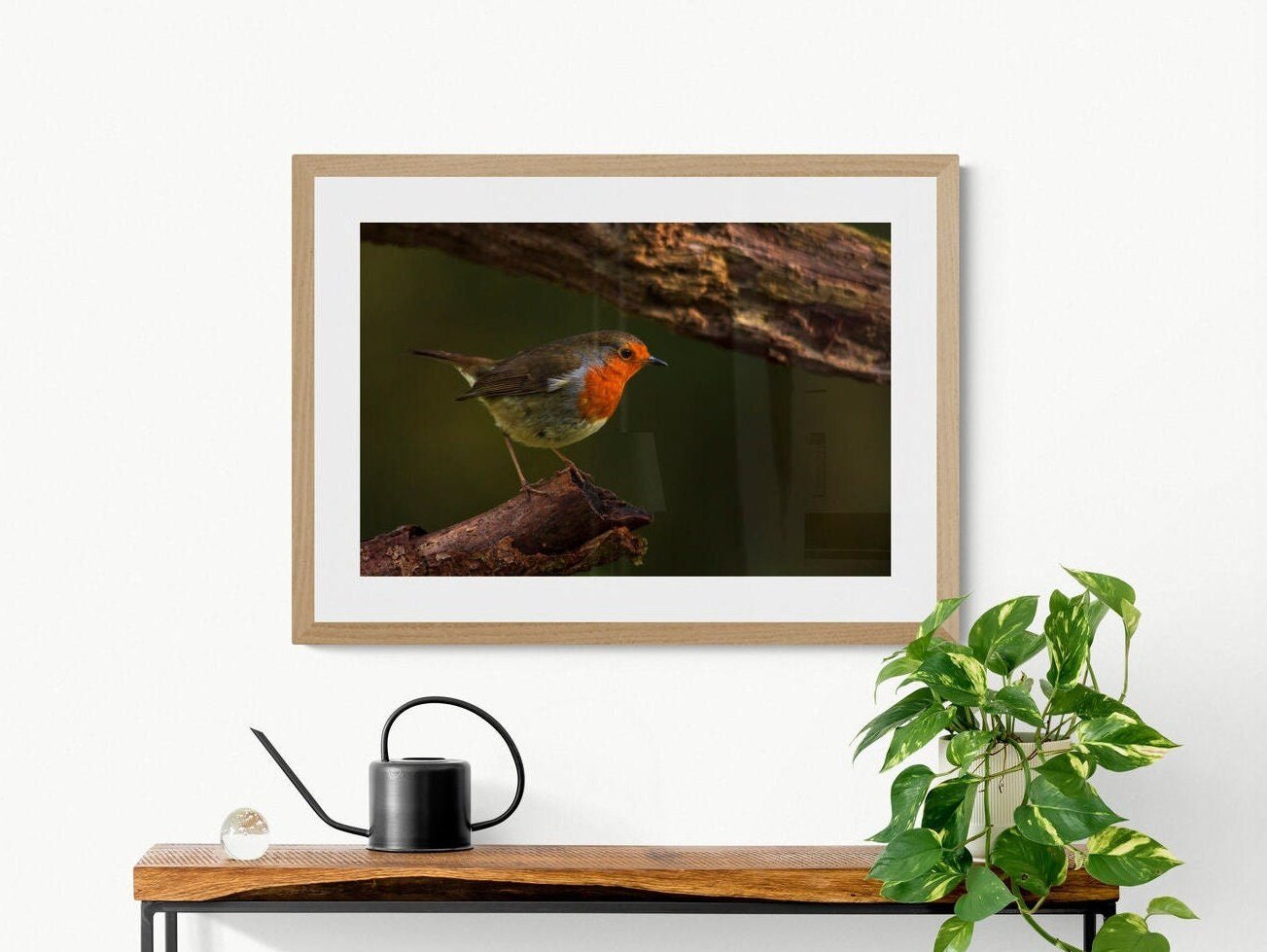 https://i.etsystatic.com/32015401/r/il/919195/3650116368/il_fullxfull.3650116368_b01r.jpg