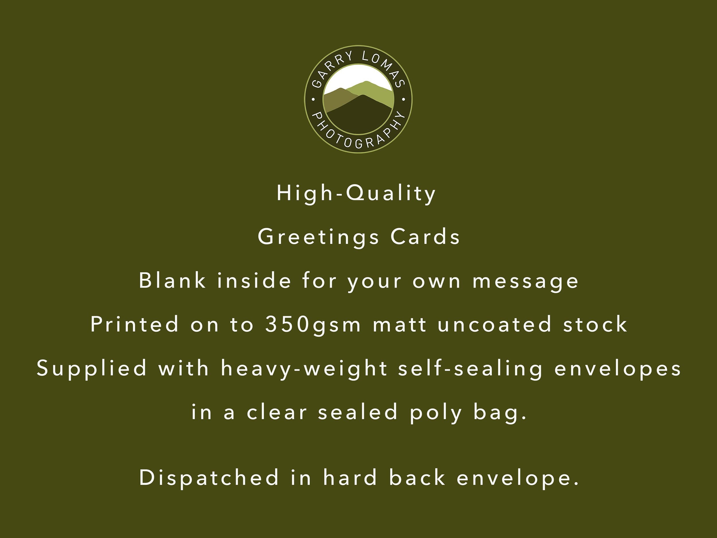 https://i.etsystatic.com/32015401/r/il/f8b82c/3539498217/il_fullxfull.3539498217_69kh.jpg