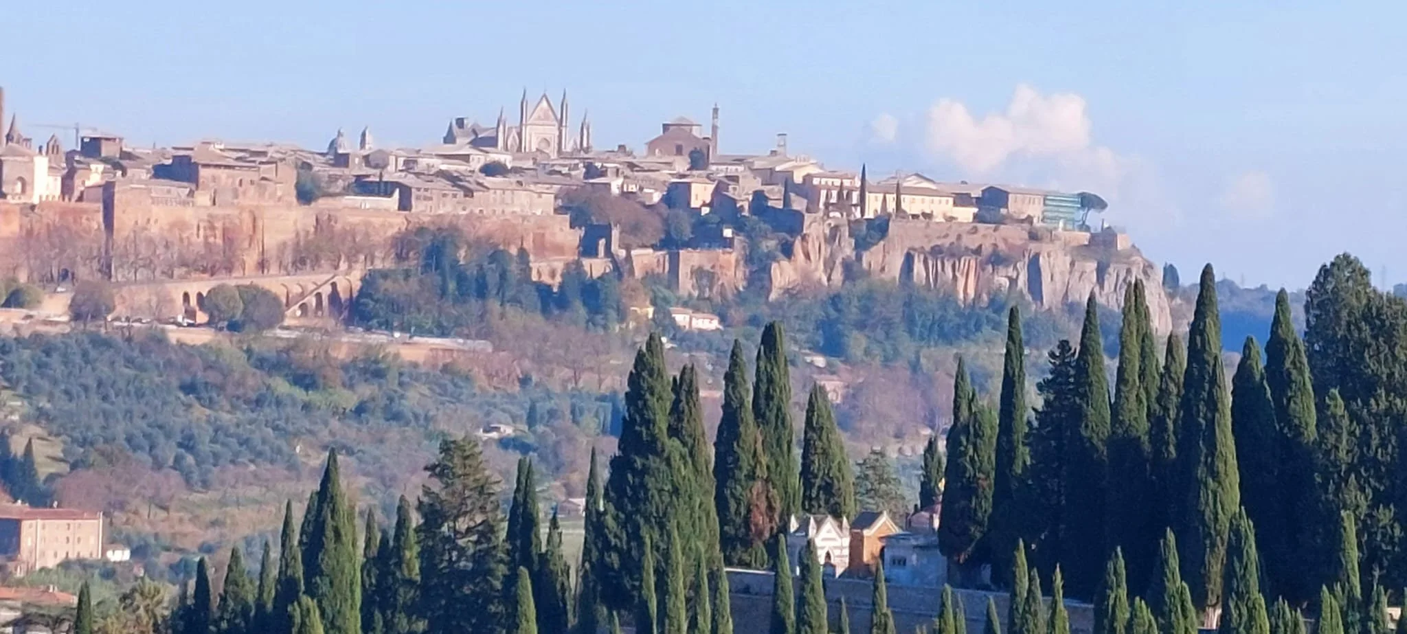 WhatsApp Image 2025-11-17 at 2.28.50 PM (2).jpeg