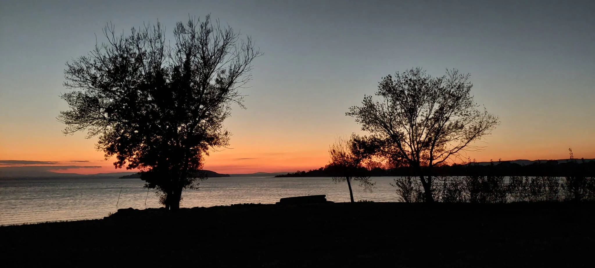 WhatsApp Image 2025-11-17 at 2.28.50 PM.jpeg