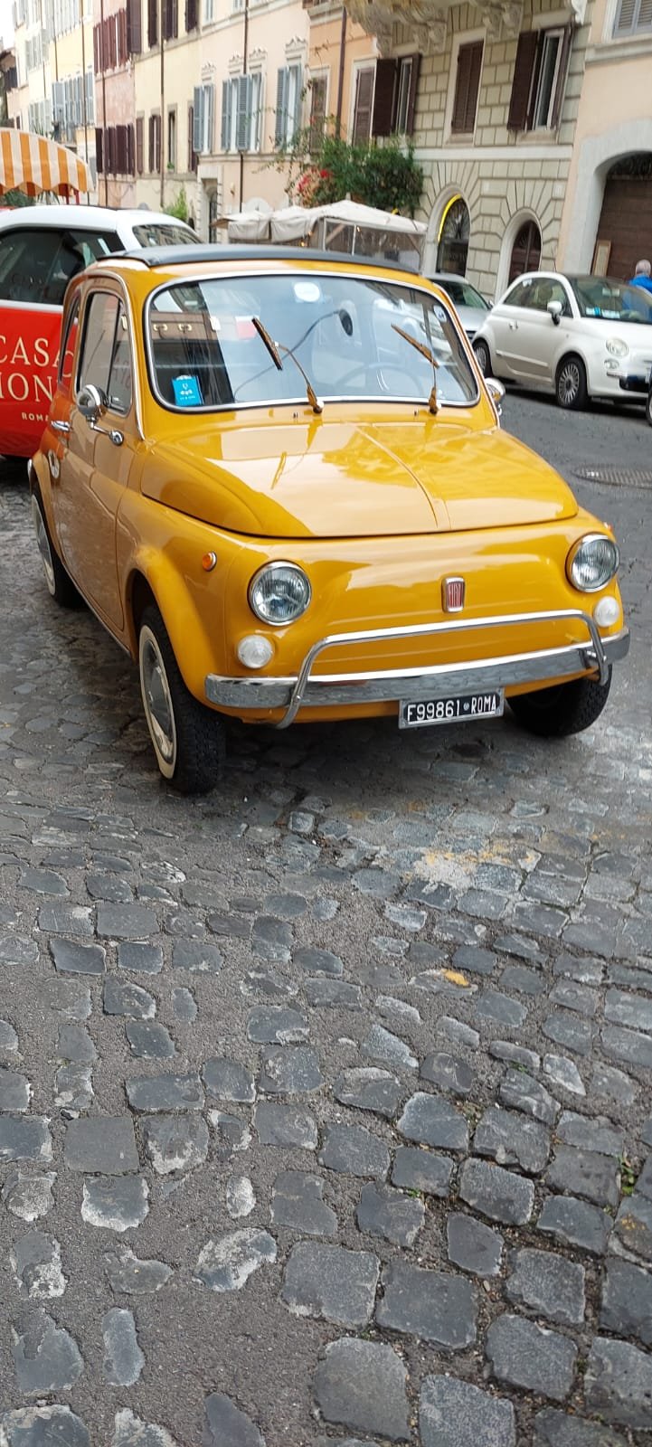 WhatsApp Image 2025-11-17 at 2.28.51 PM (1).jpeg