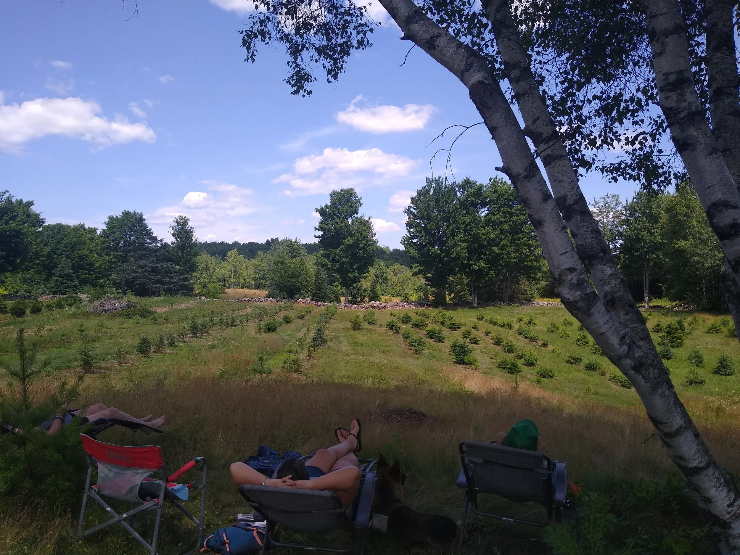 3 women resting in a field