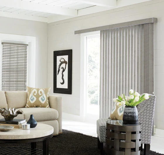 vertical blinds.jpg