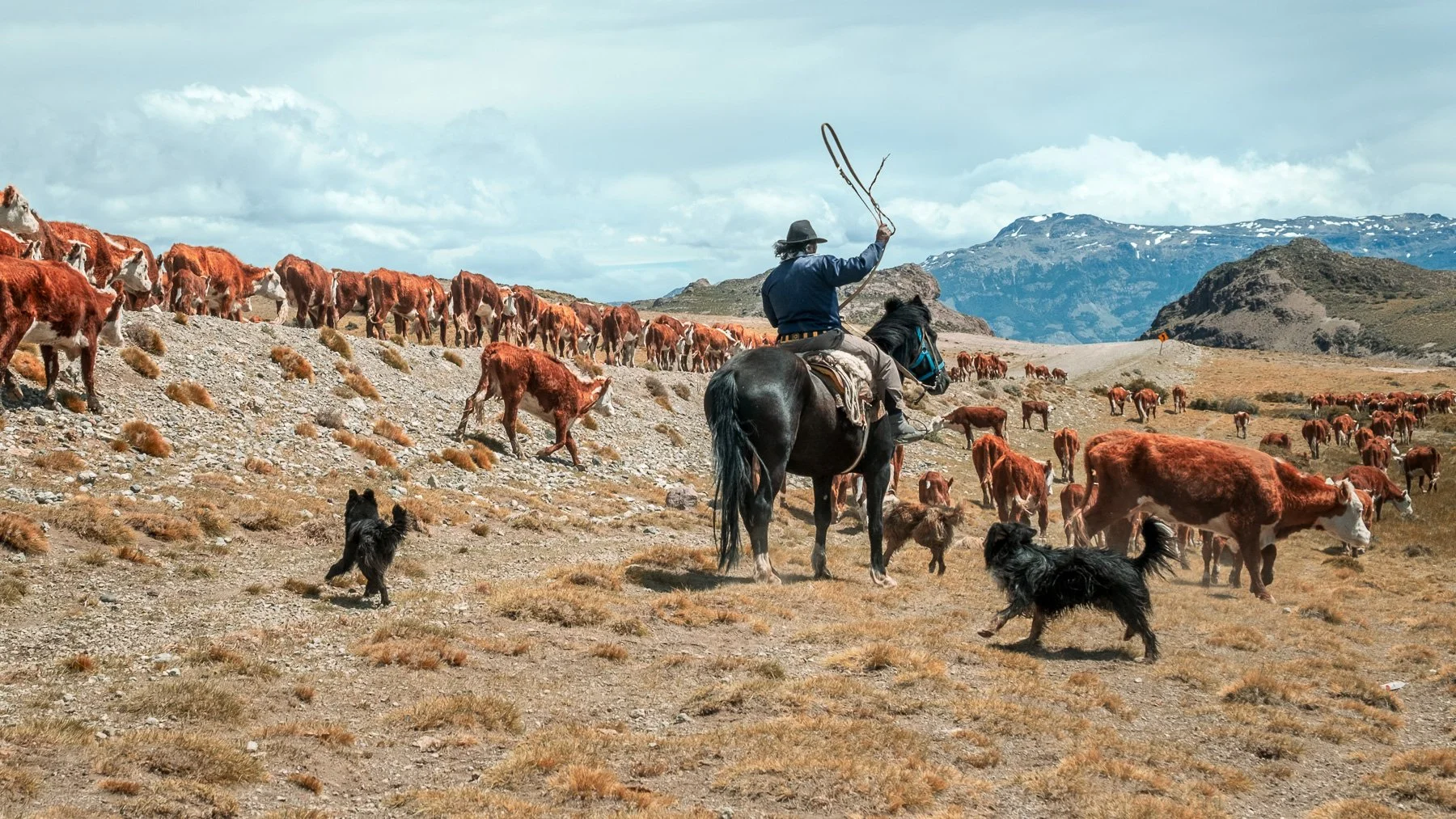 Gauchos in Argentinië