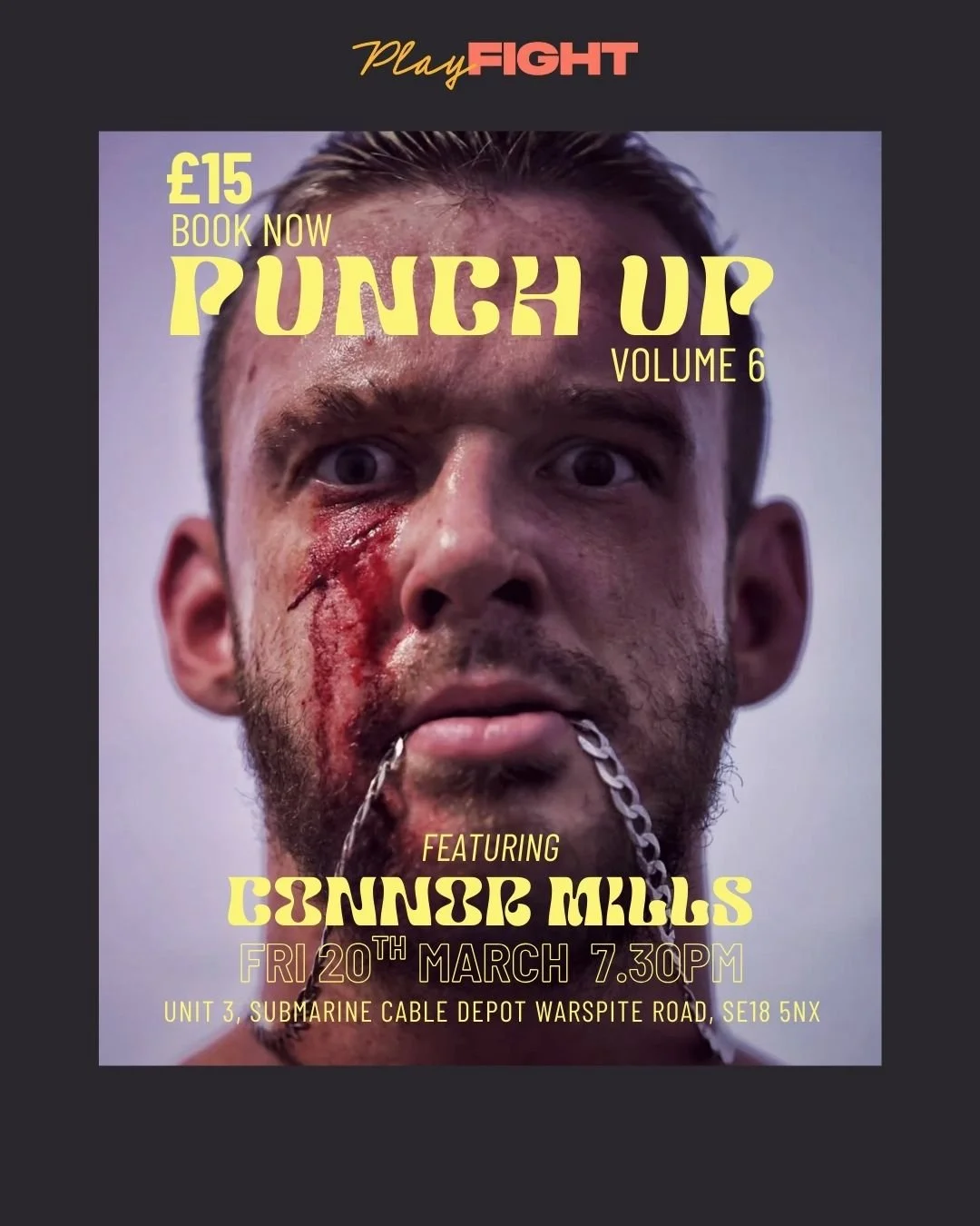 PLAYFIGHT PUNCH UP VOL 6