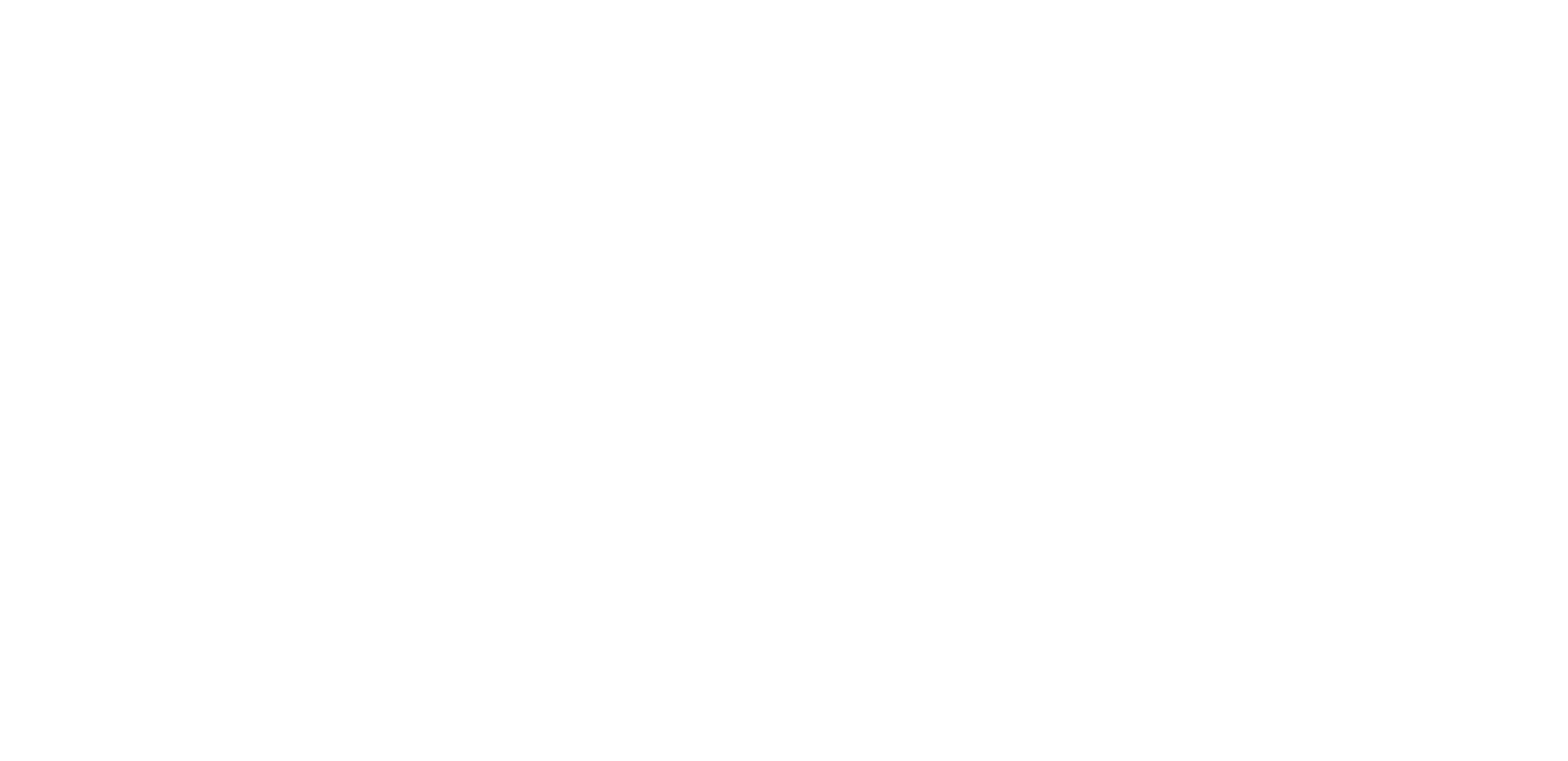 The Sisu Concept