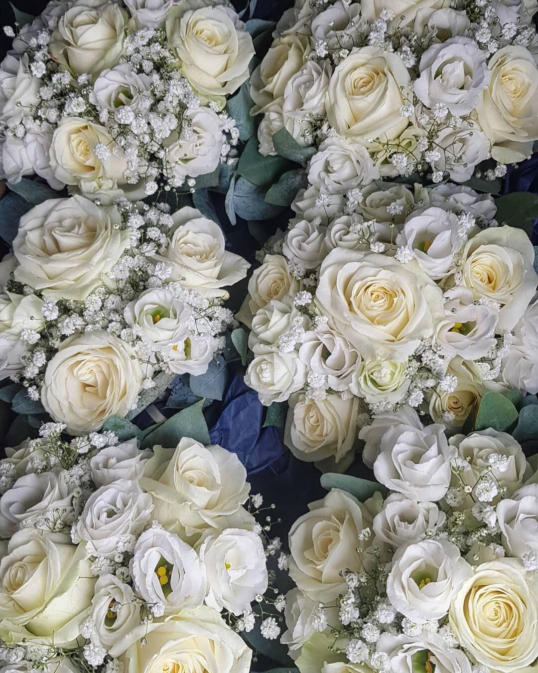 All whites 🌼

Six maids bouquets all in a row for Kirstys wedding at Ingliston yesterday!

We loved the fully white choice of flowers for the maids.

With Love, LB x. 

#scottishwedding #weddinginspo
#glasgowwestend
#glasgowflorist #bridesmaidflower