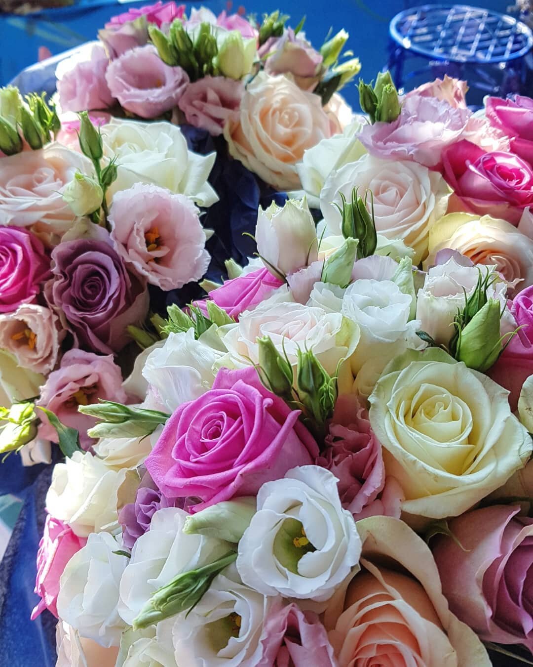 Order of the day 🌹

Roses, roses and more roses!

All our girls have gone full on roses for this week's weddings and we can't wait to see the pictures of their big day!

It's always a pleasure to play our small part in such a special day 🌸

With Lo