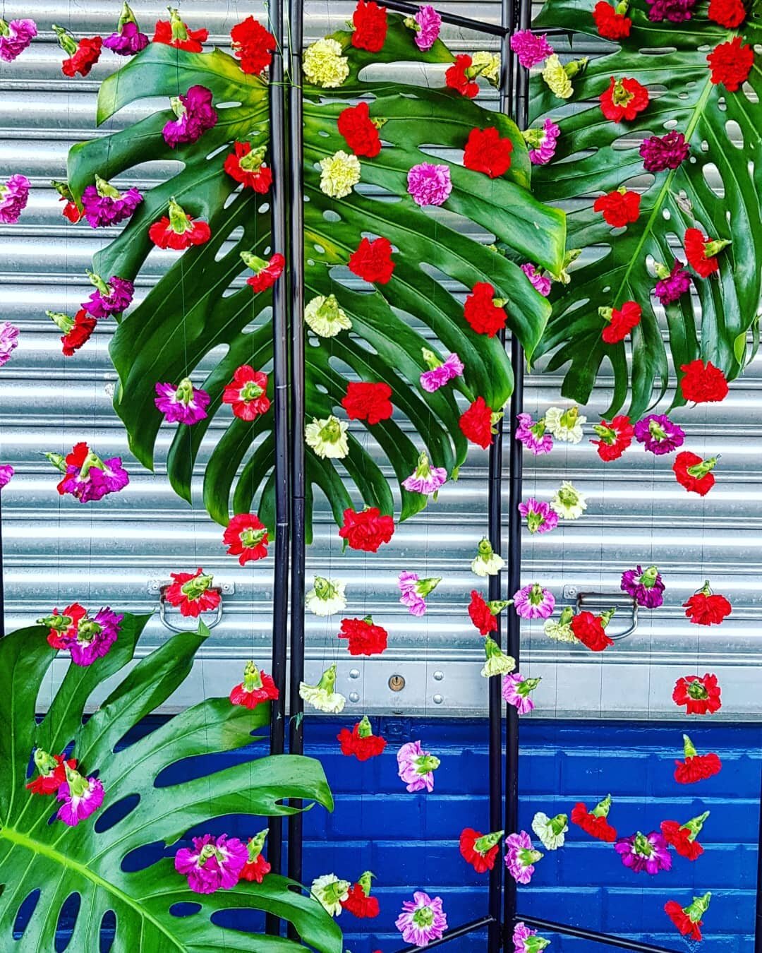 Window shopping 🌿🌷

A tropical storm in the window tomorrow!

Pop past and check out our new display. 

We create these flower curtains for weddings and events 🍃

With Love, LB x.

#windowdisplay #tropicalleaf #eventdecor #glasgowweddings #wedding