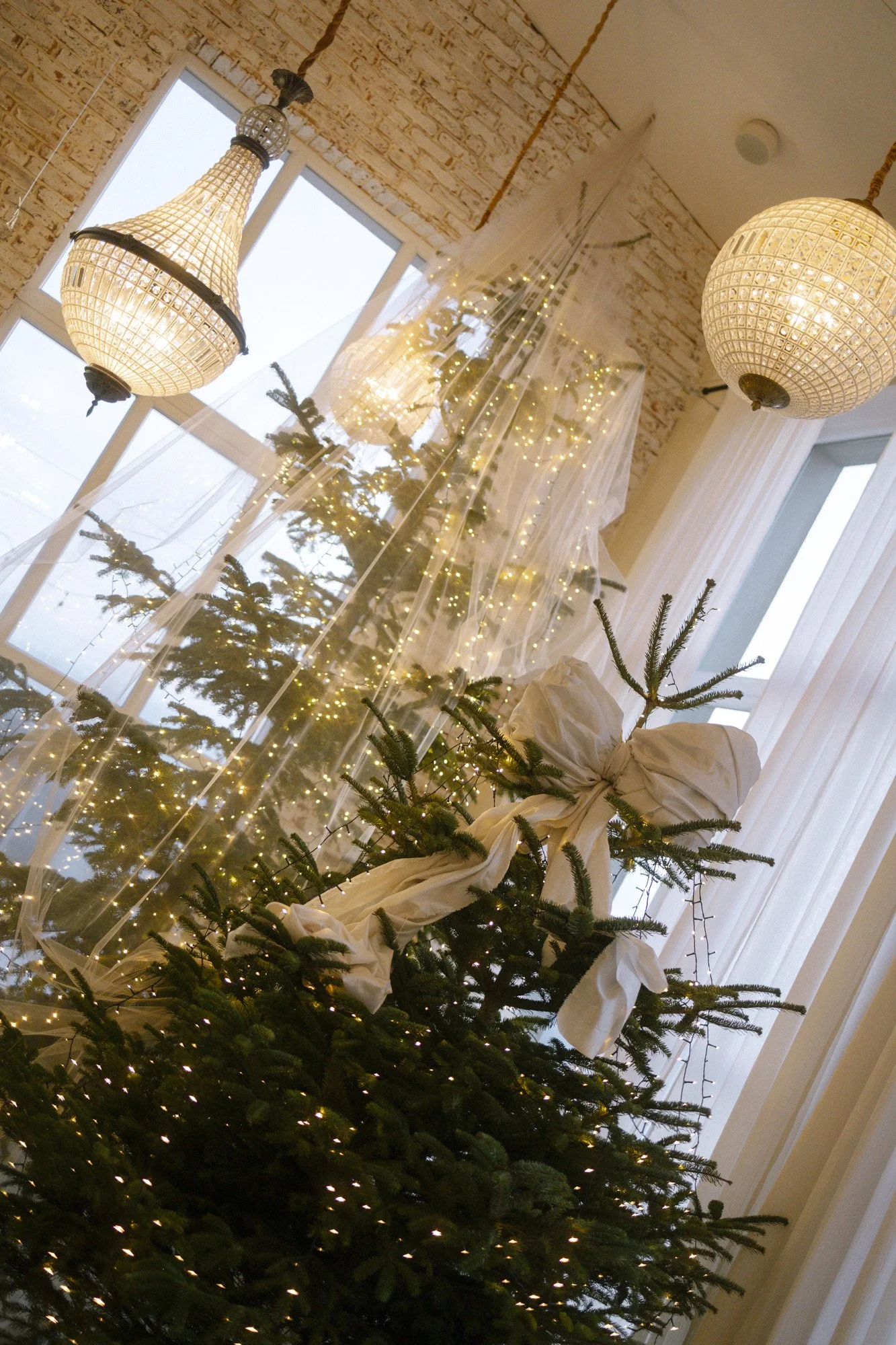 christmas trees at villa love wedding in december