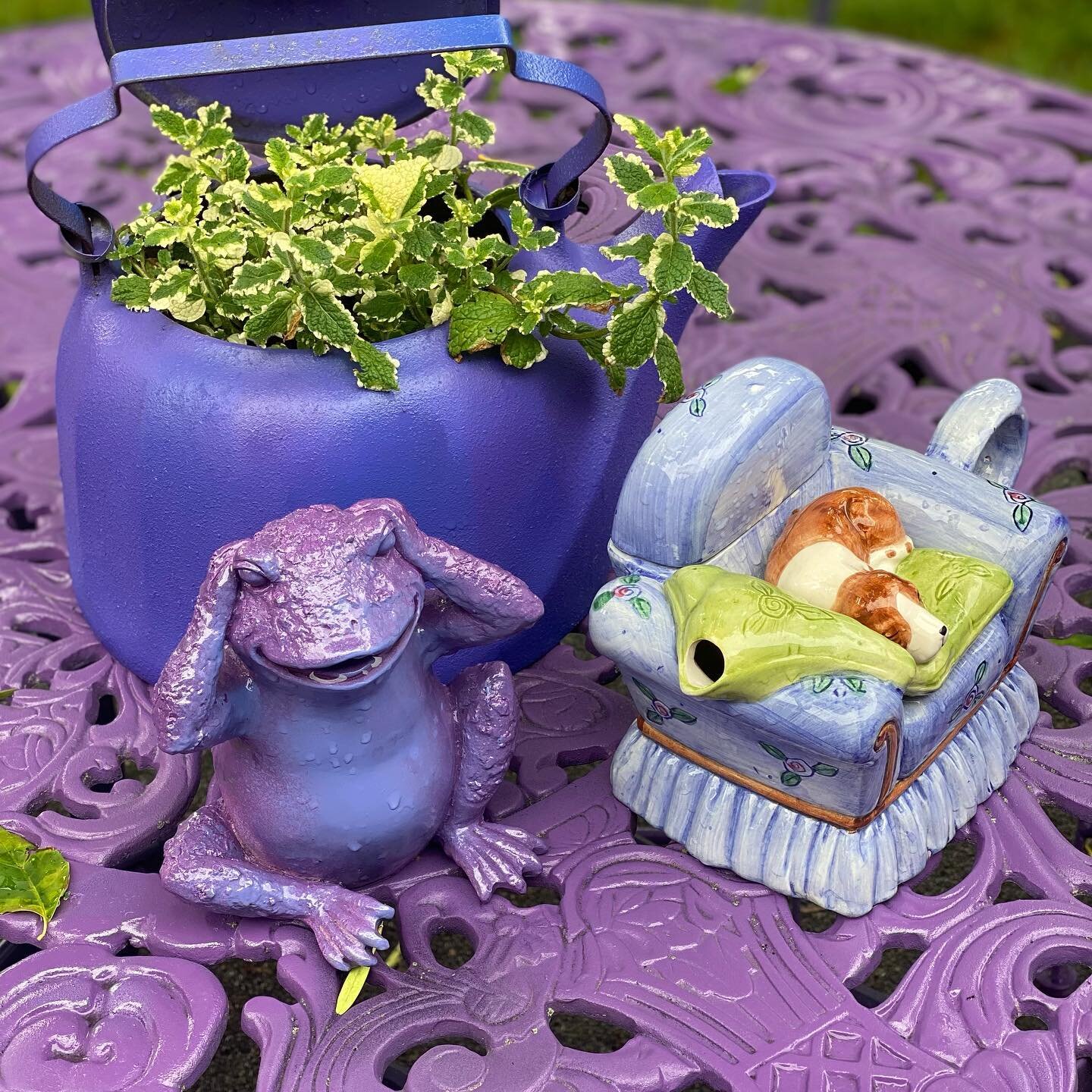 The Purple Frog Tea Room at Magical Moon Farm &amp; Foundation 🍵 
.
.
.
.
.
#magicalmoon #magicalmoonfarm #magicalmoonfoundation #marshfieldma #tearoom