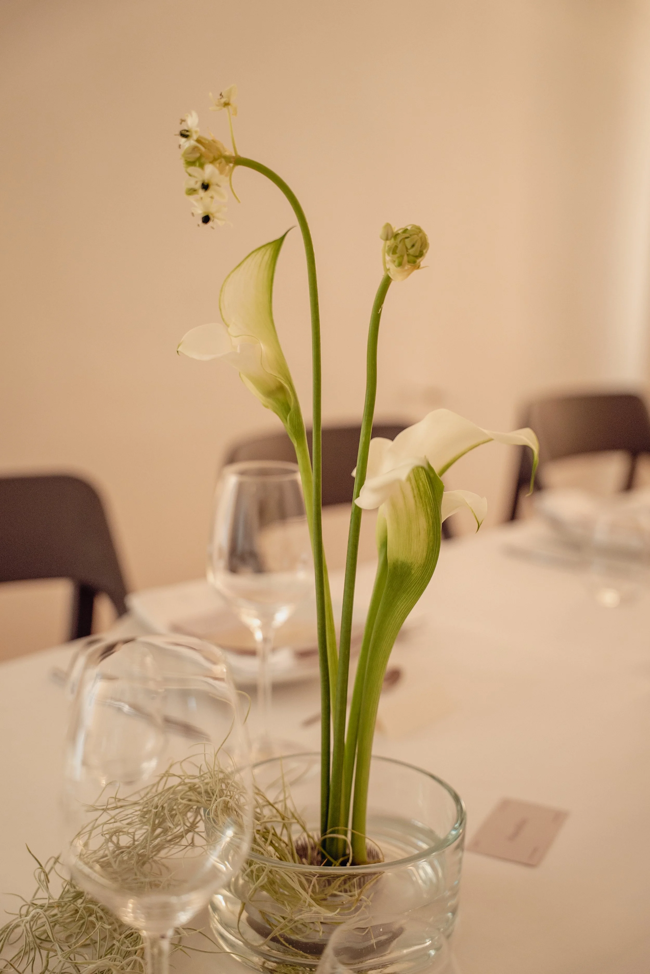 DSC06465.jpg