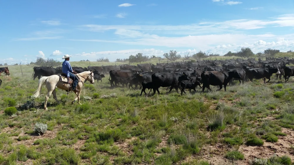 Native American Beef — Labatt Food Service