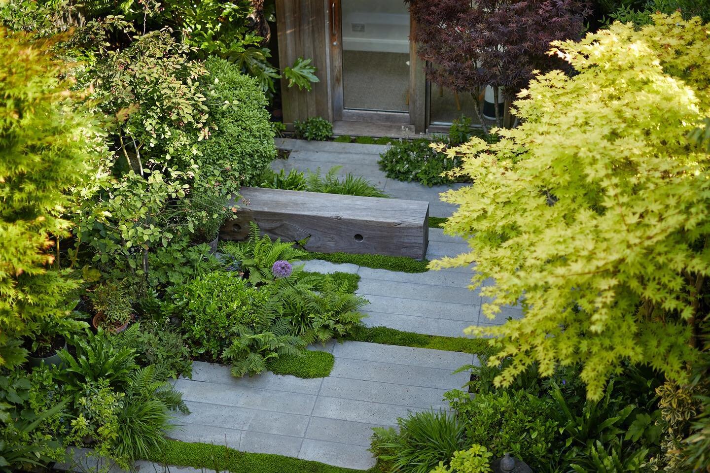 A calming oasis of green in NW London.

📷 @alistergthorpe 
_________________________________

#grdn #photo #home #renovation #calm #wednesday #green #planting #foliage #evergreen #timber #concrete #schellevis #grey #trees #acer #treefern #build #des