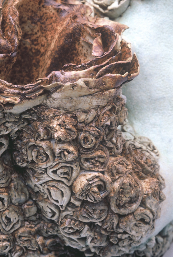 ChineseGreenPod(detail).png