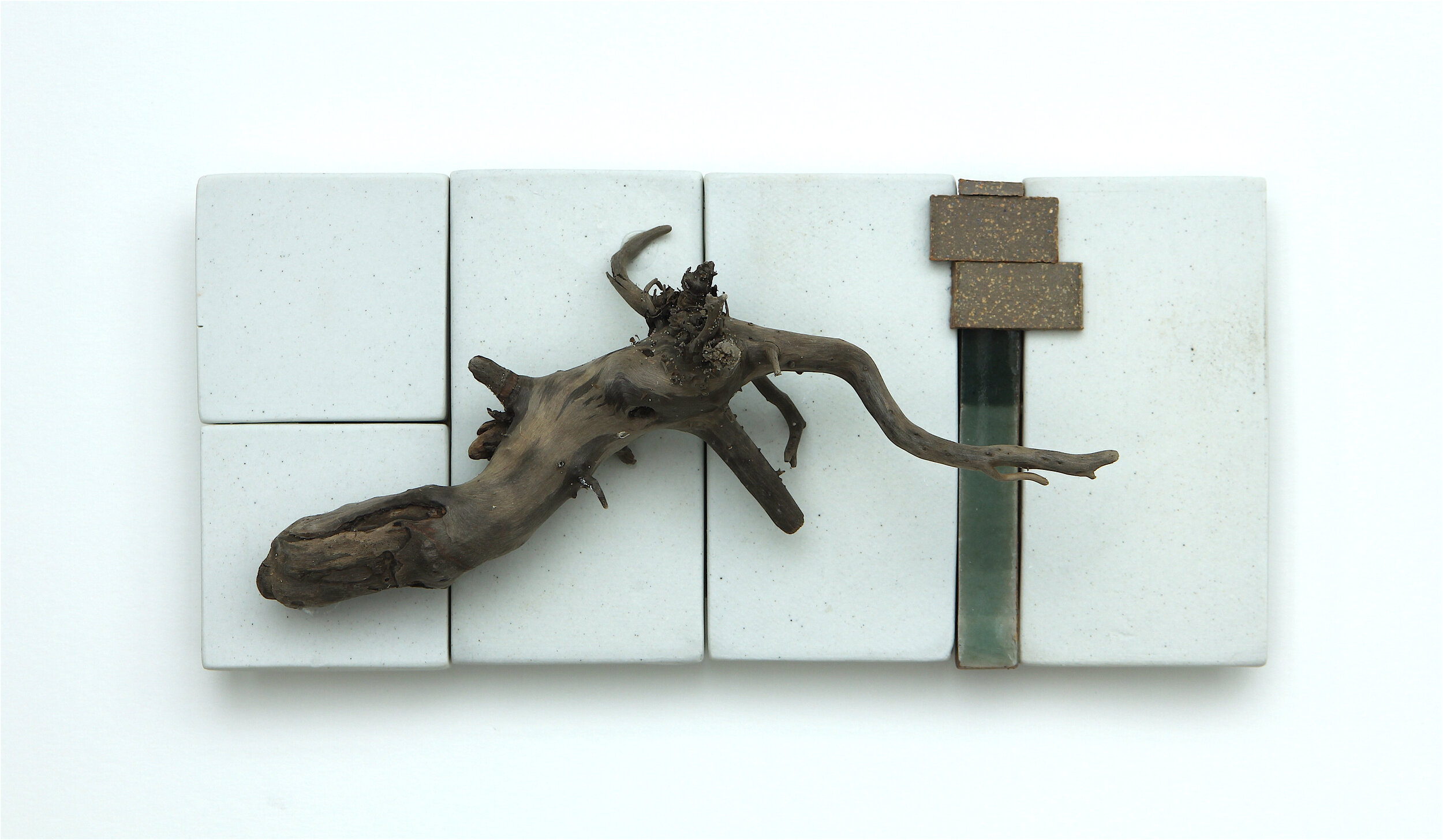 Untitled#3 (w: porcelaine and root).jpg