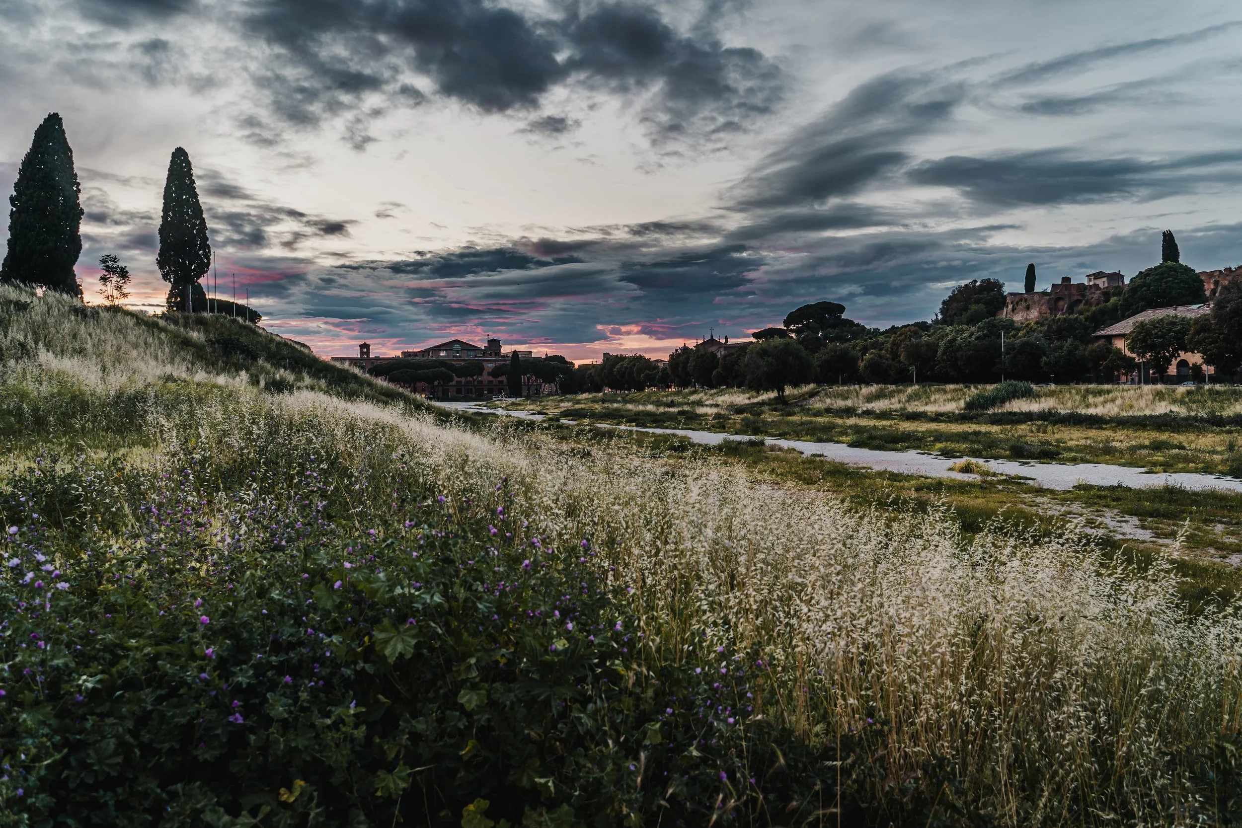 unsplash-image-vsxF3-pGNvo.jpg