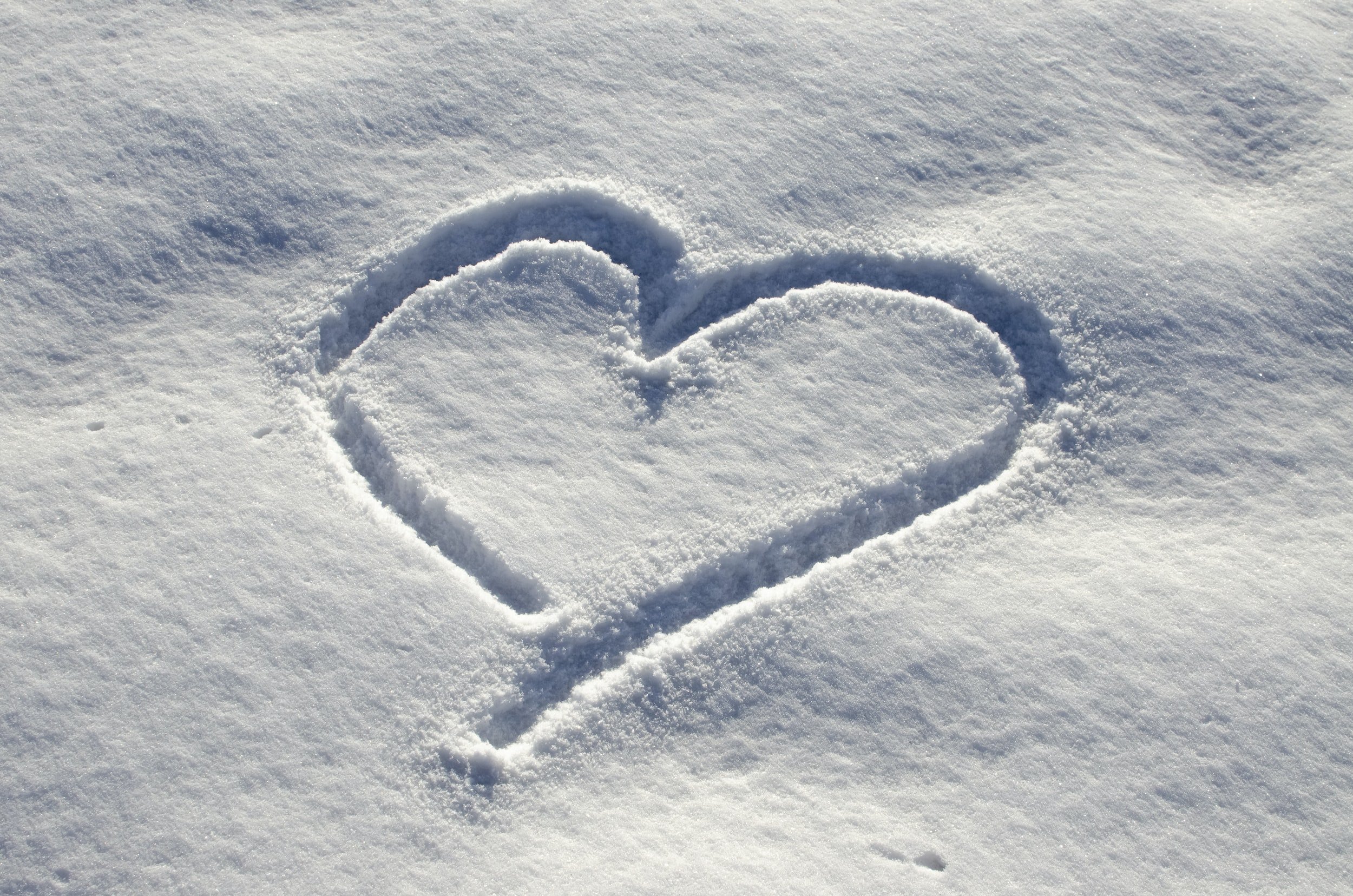 Shabbat Worship Service February 18 2023