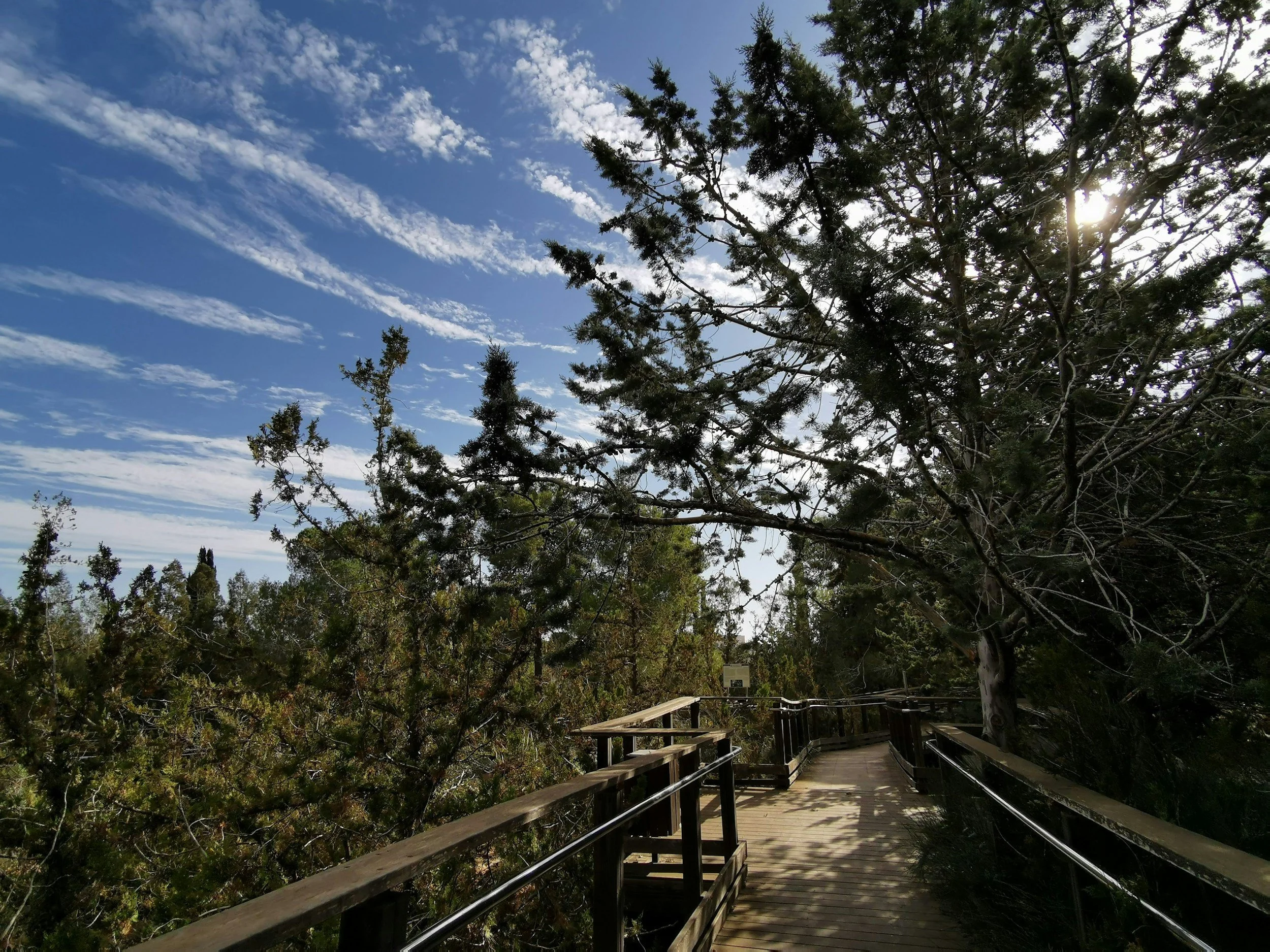 Shabbat Worship Service