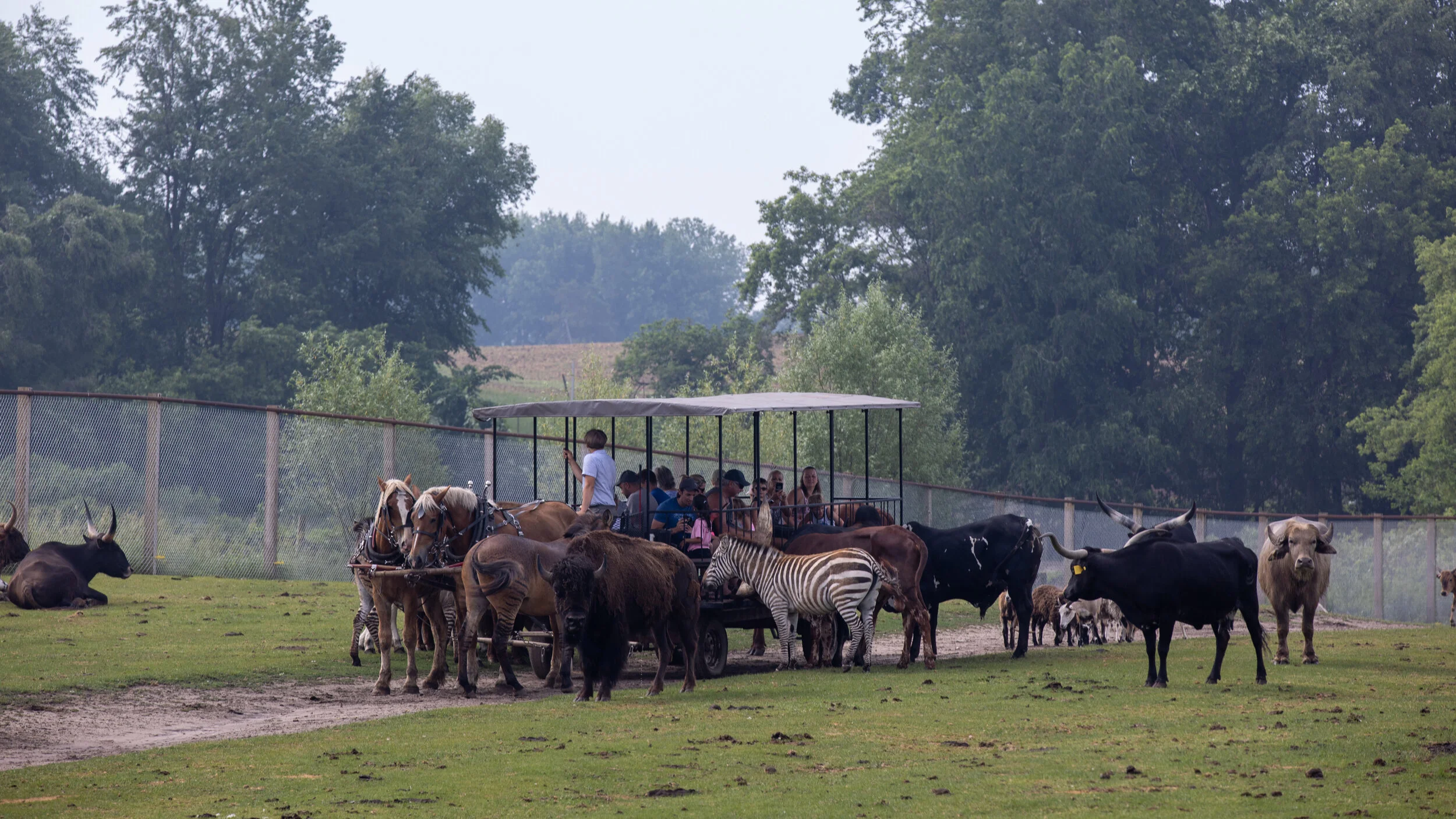 Dutch Creek Farm Animal Park