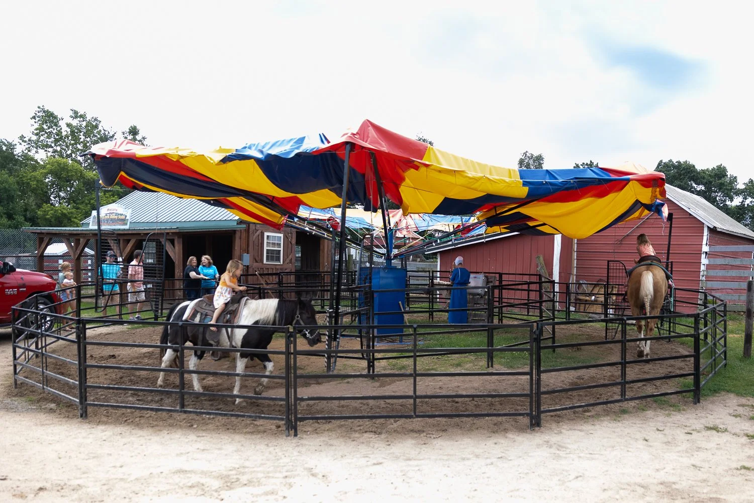 Gallery — Dutch Creek Farm Animal Park