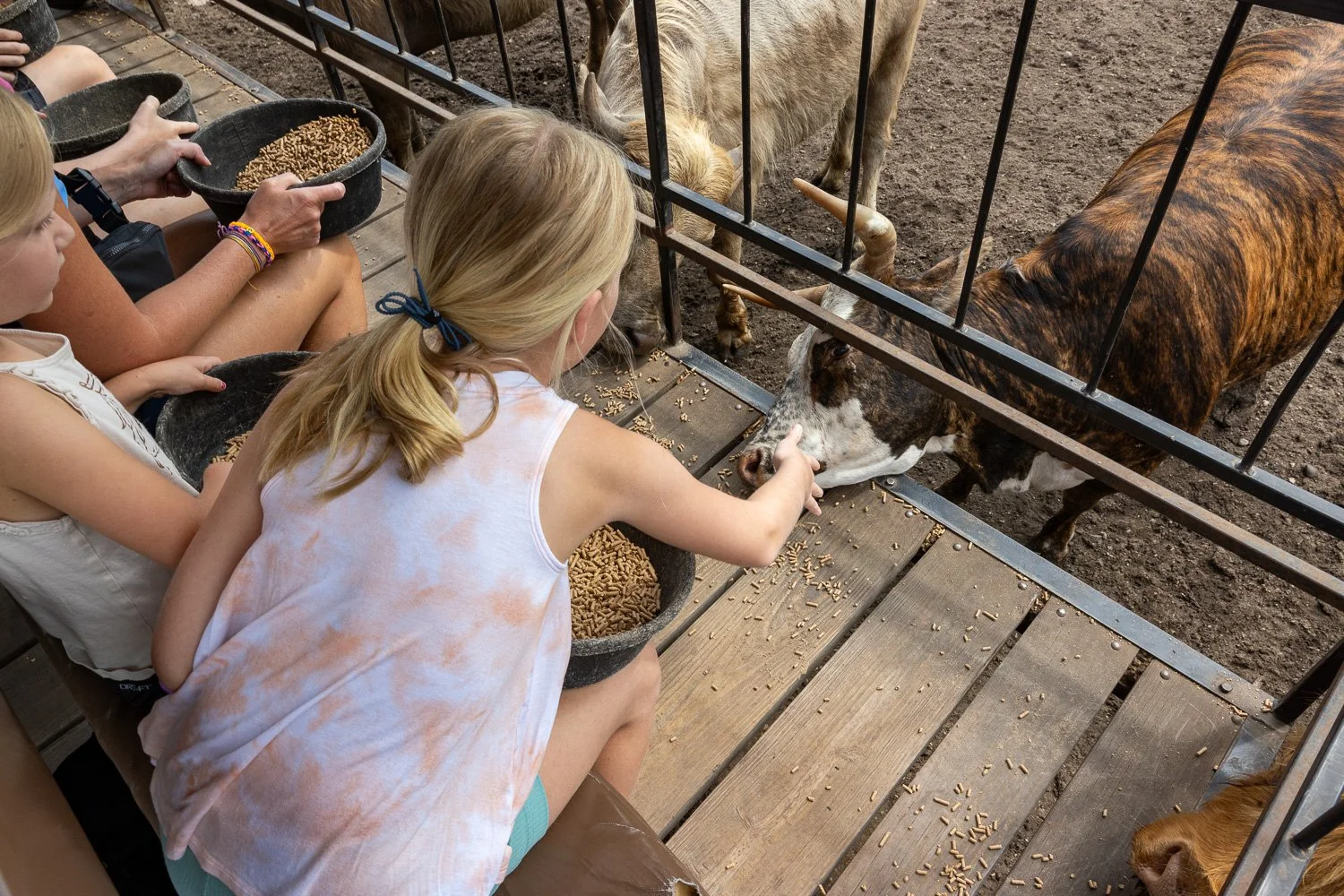 Gallery — Dutch Creek Farm Animal Park