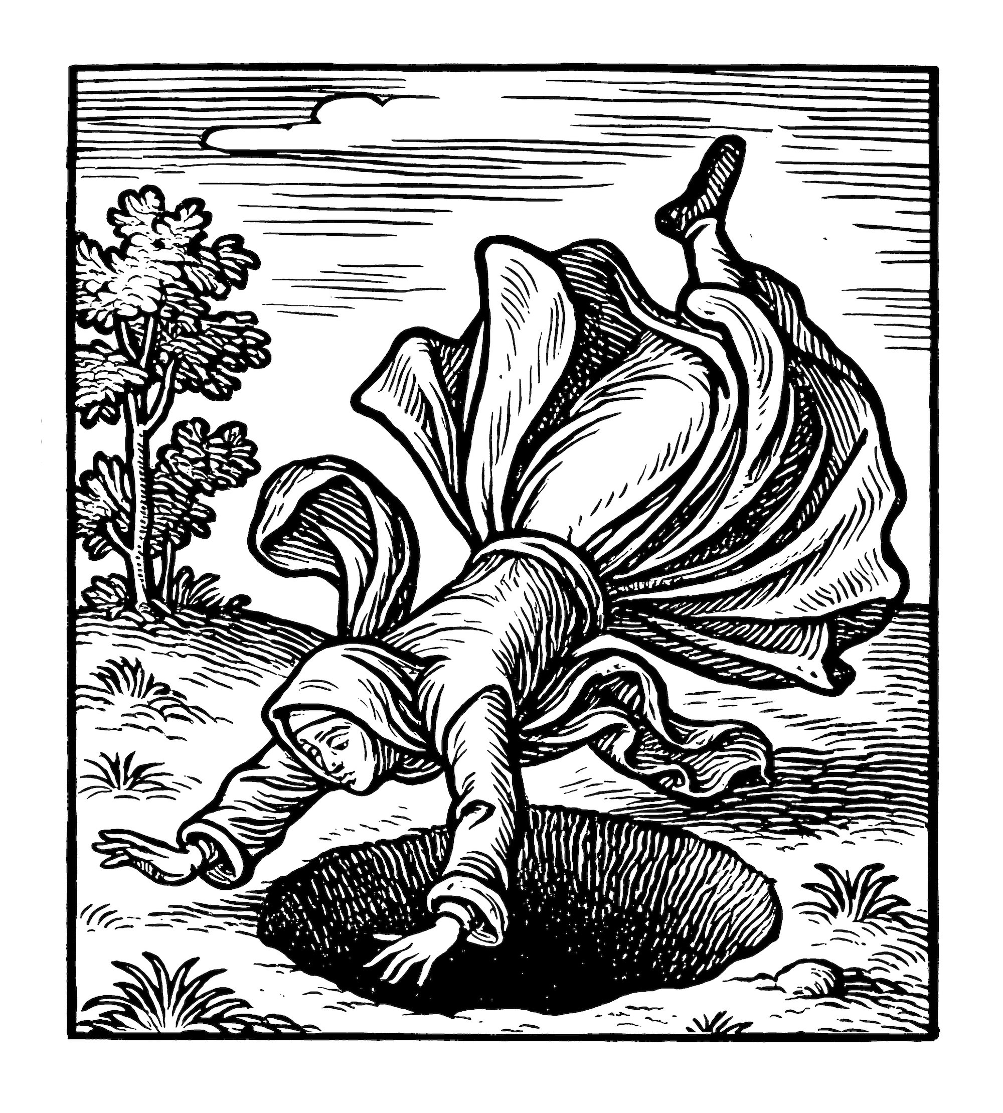 Arno Beck