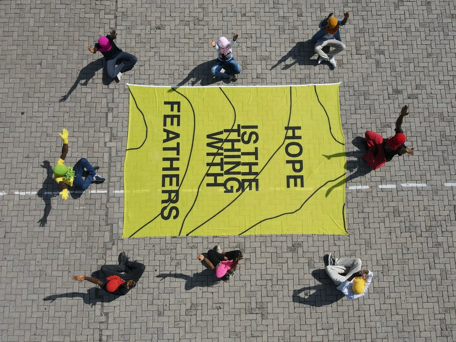 Hope Is the Thing With Feathers