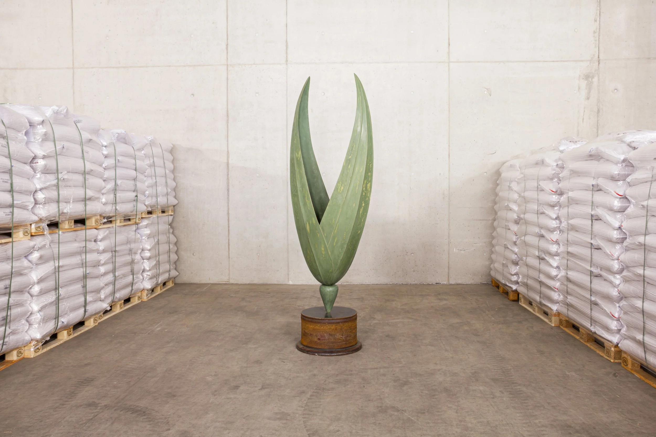 PaulDiestel_GalerieCoucou_2024_Avena.jpg