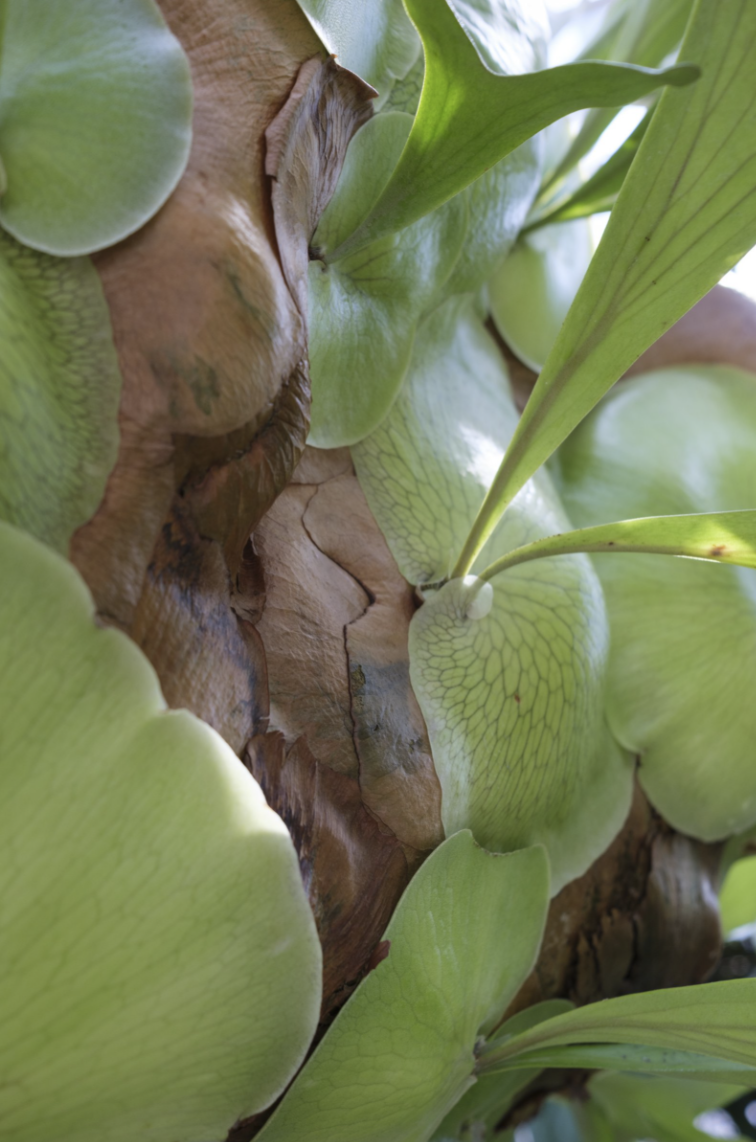 Laura J. Padgett (copy)