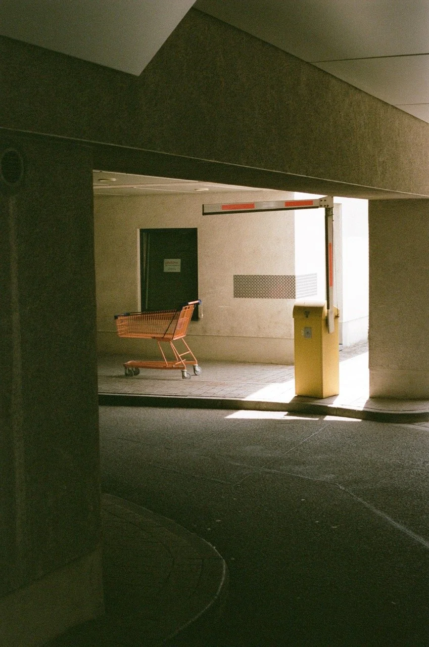 FFM Projections 8