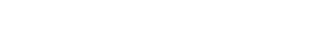 Network for the Sociological Study of Science and Religion