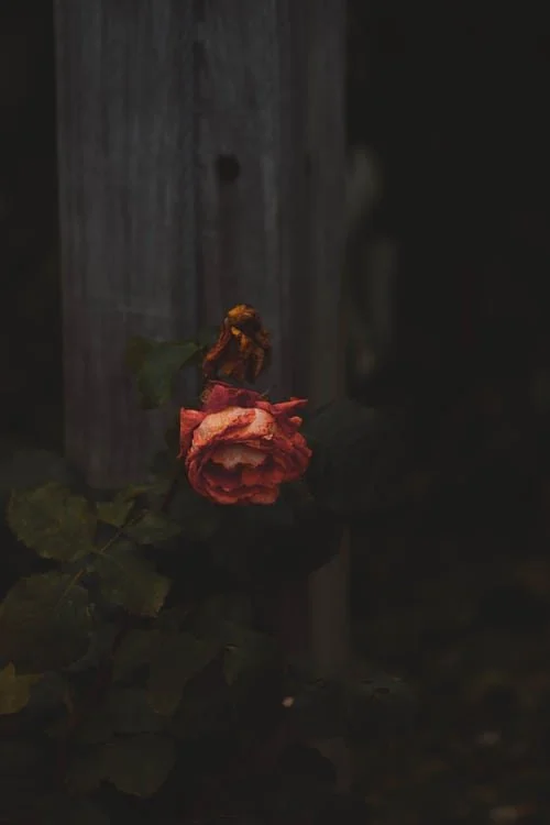 What Is Death Anxiety And How Do You Deal With It? 