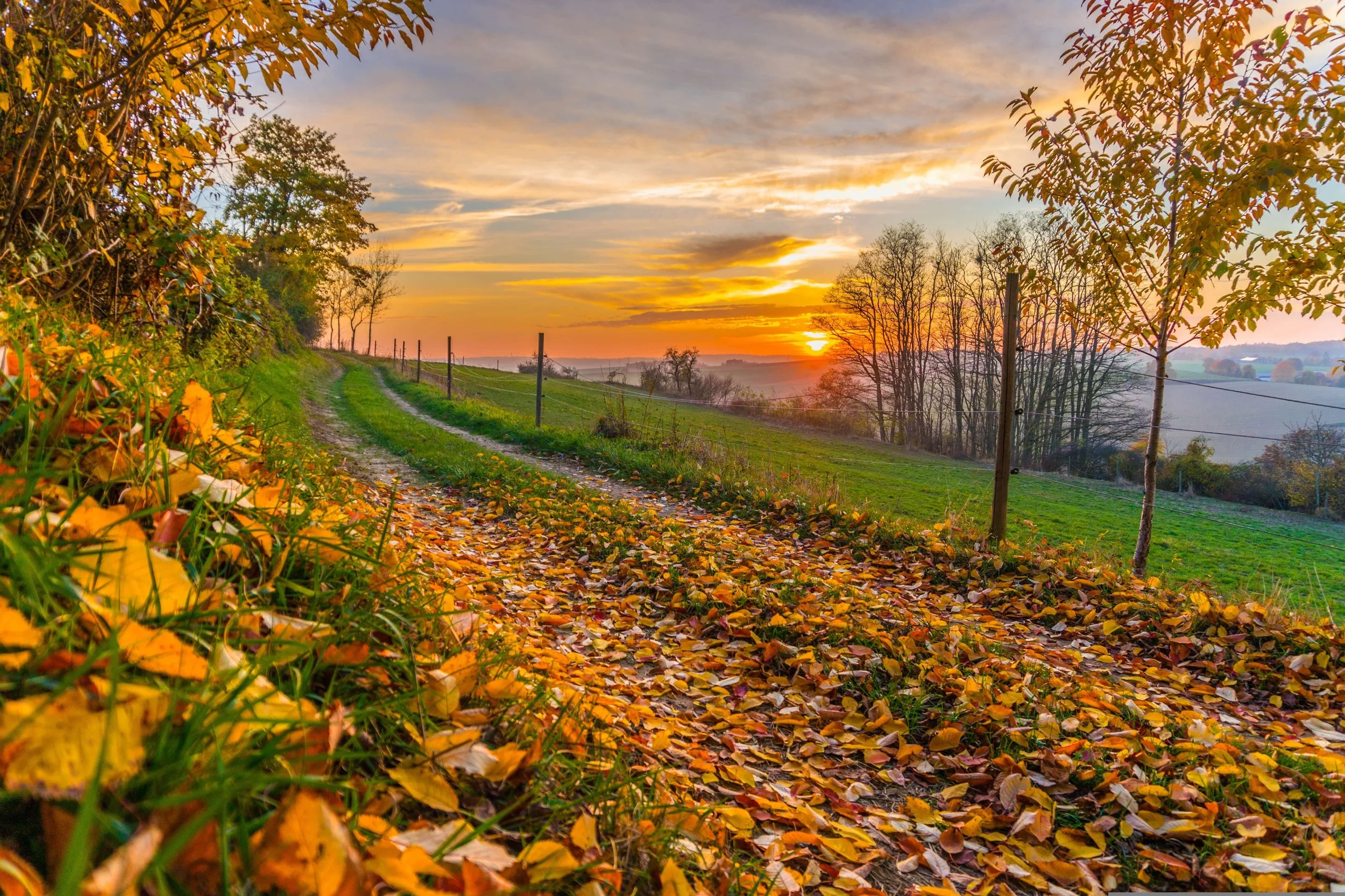 Autumn Song