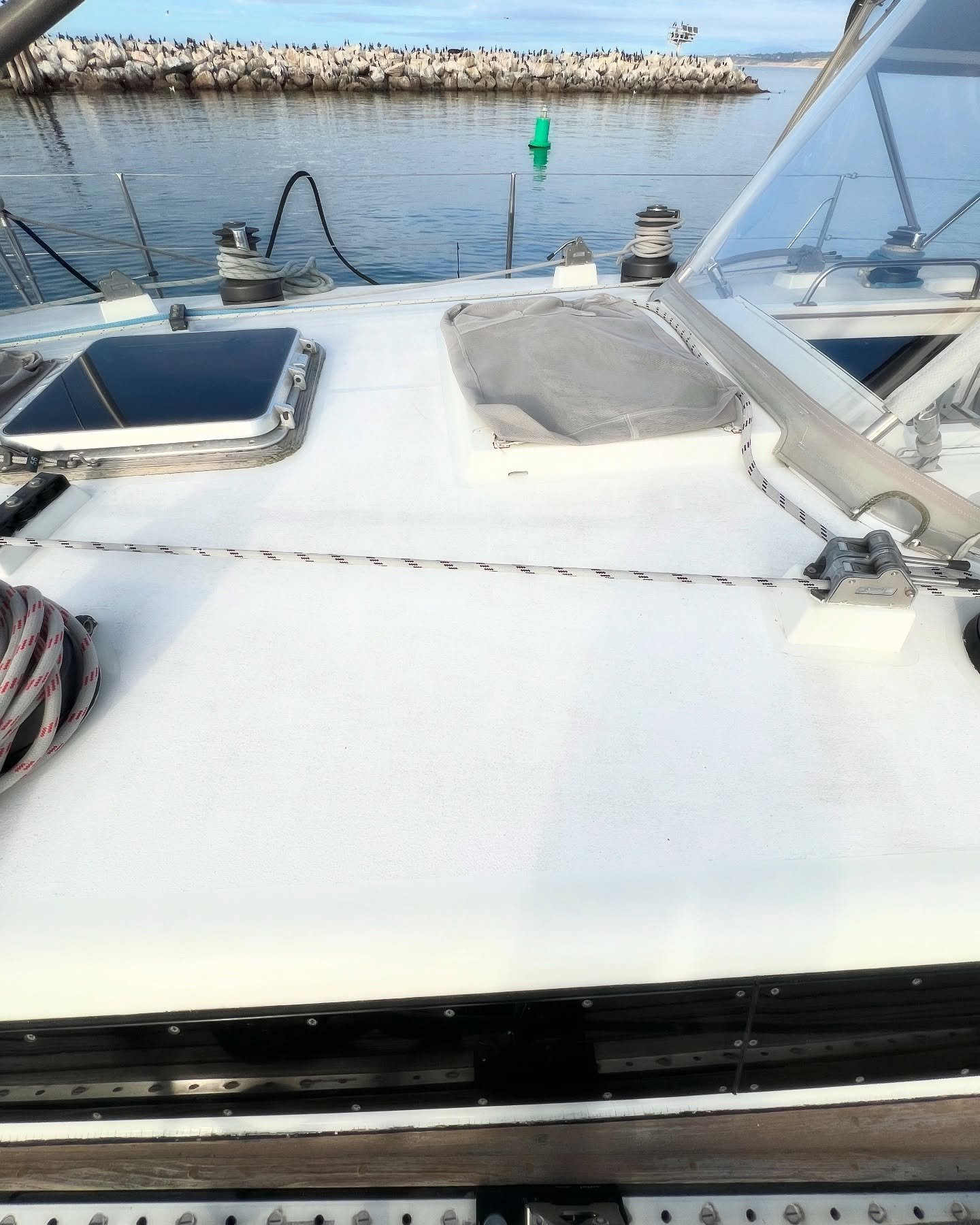 Happiness is a clean deck! Swipe to see how we keep it that way on the mooring. 
.
.
.
.
#birddeterrent #sailingyacht #lifewithbirds #montereybay #seagulls #mooring