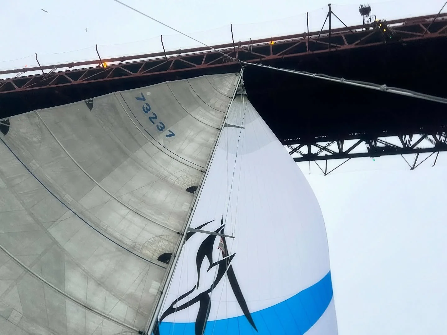 Sail under the Gate with us! 🌁
Atalanta takes a one day hop north from Monterey to San Francisco this November 22. ⛵️
Refine your offshore skills, or just come along for the ride. All experience levels are welcome. ☺️
$495 all inclusive. 🔗 in bio f