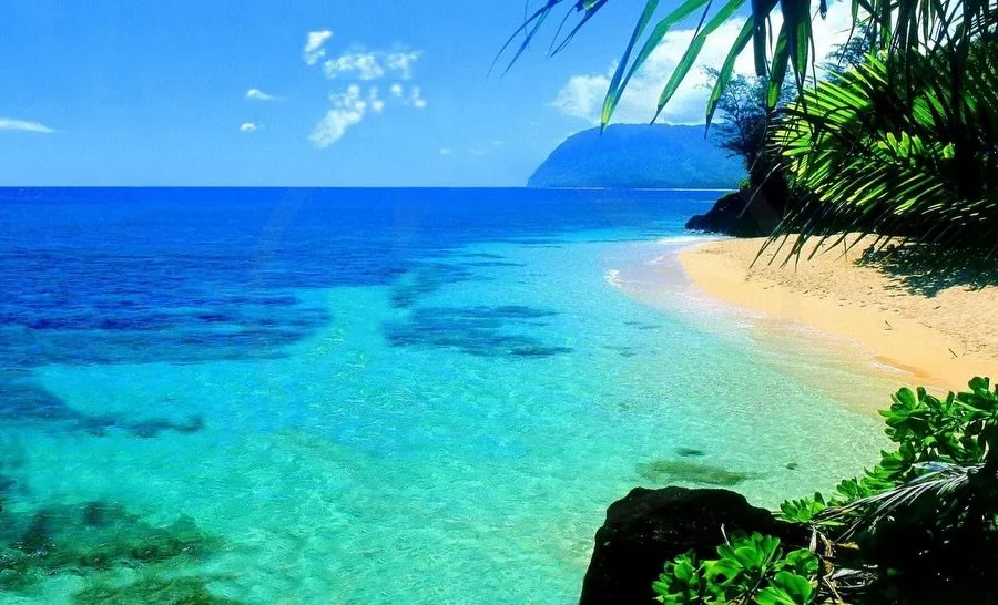 Sail to Hawaii and back this summer! ⛵️
.
Join an extraordinary passage in the trade winds 🌬️ to the tropical climes of Honolulu. 🏝️ 
.
Captain Kevin and Atalanta will accommodate 6 guests on each leg of the journey, which will take between 14 and 